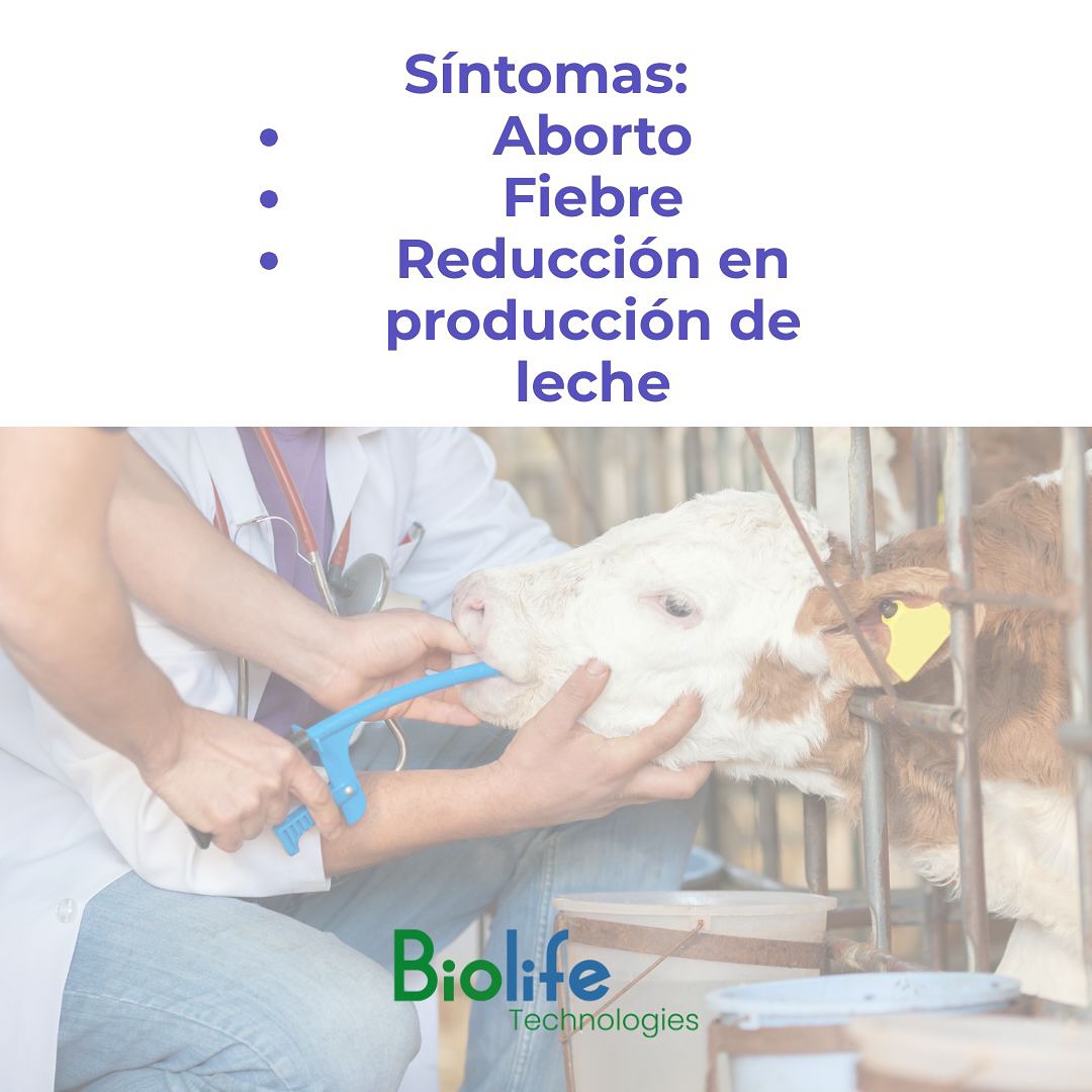Biolife Technologies | Querétaro
