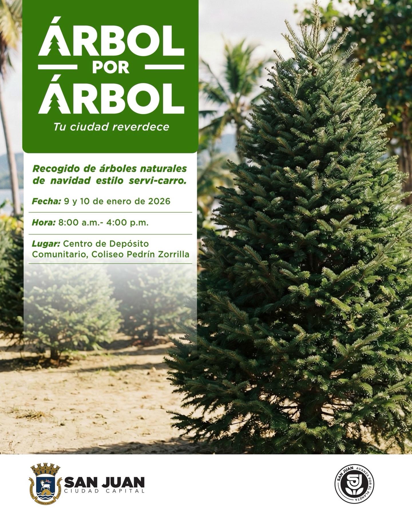 San - ♻️ ¡Dale un final responsable a tu árbol de Navidad! 🌲 Trae tu ...