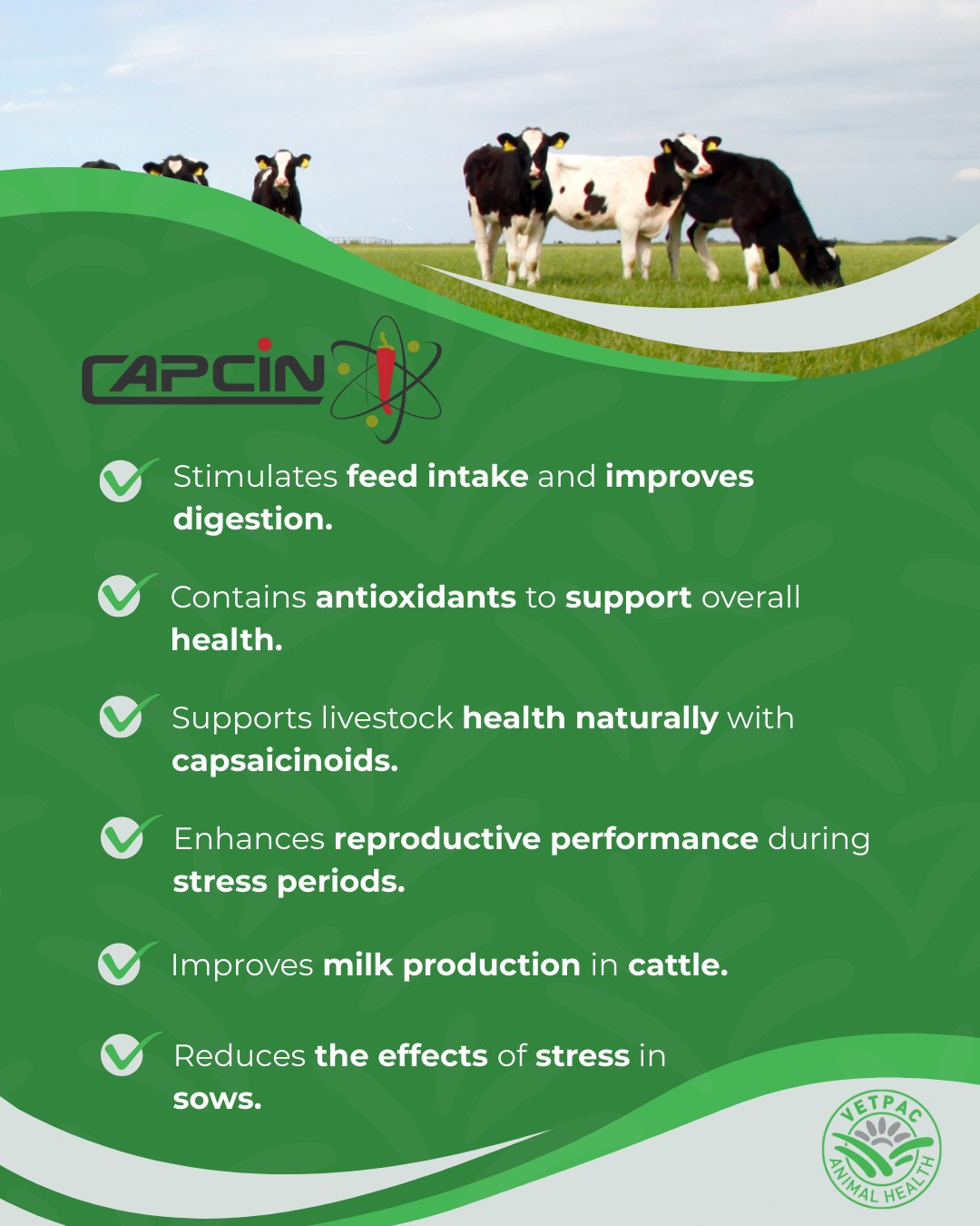 Vetpac Animal Health added a new photo. - Vetpac Animal Health