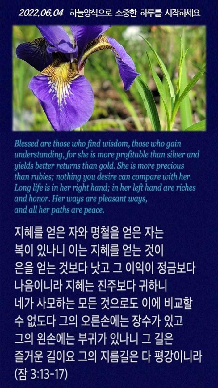 QT Sharing - 잠언 3장 13절에서 17절. 솔로몬의 잠언입니다. 그는 지혜를 얻는 자가...