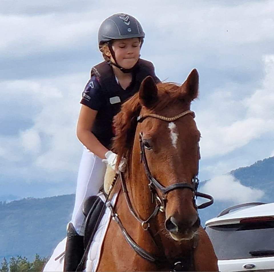 Reitstall Pinteritsch -... - Reitstall Pinteritsch - Trabenig