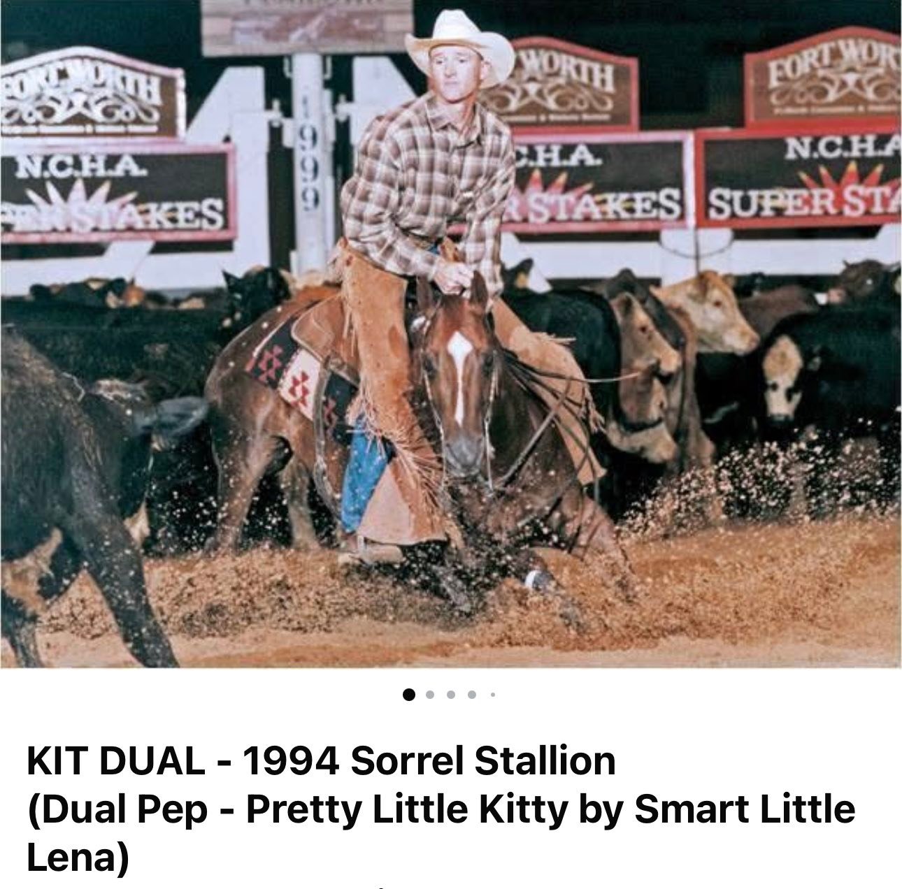 GRIT - Are you on our list for our 2026 foal crop They will all be ...