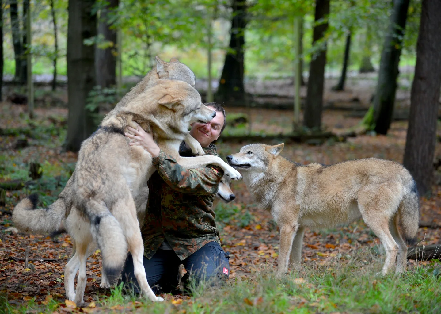 Wolfspark Werner Freund Merzig/Saar | Merzig