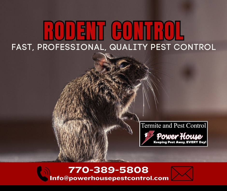 Power House Termite and Pest Control | Stockbridge GA