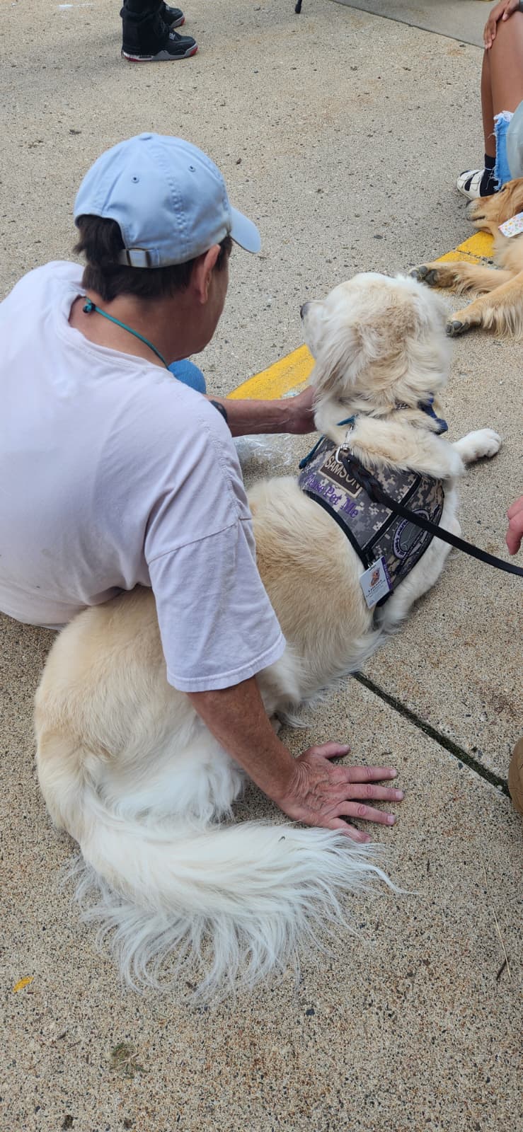LCC K-9 Comfort Dogs added a new... - LCC K-9 Comfort Dogs