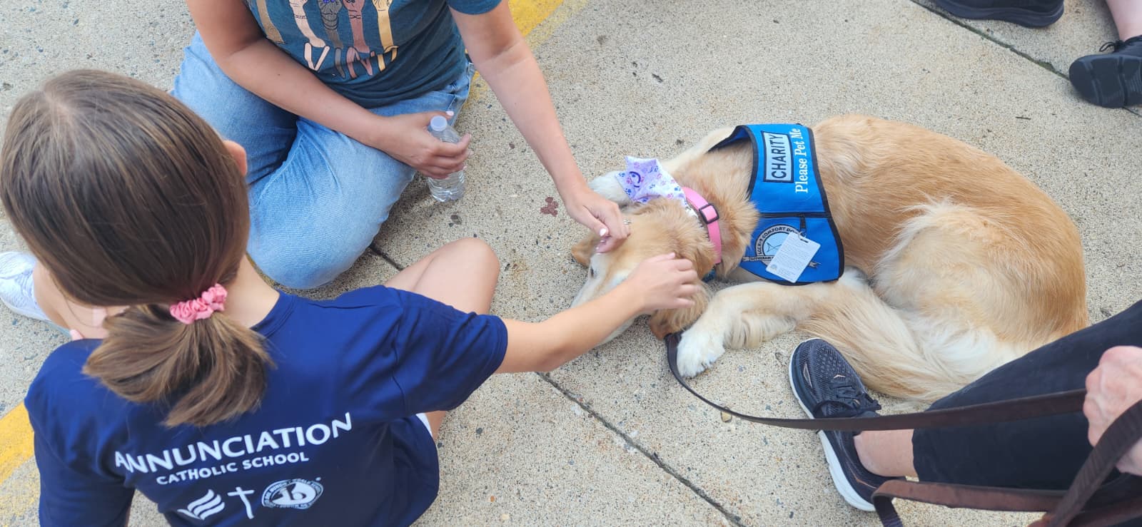 LCC K-9 Comfort Dogs added a new... - LCC K-9 Comfort Dogs