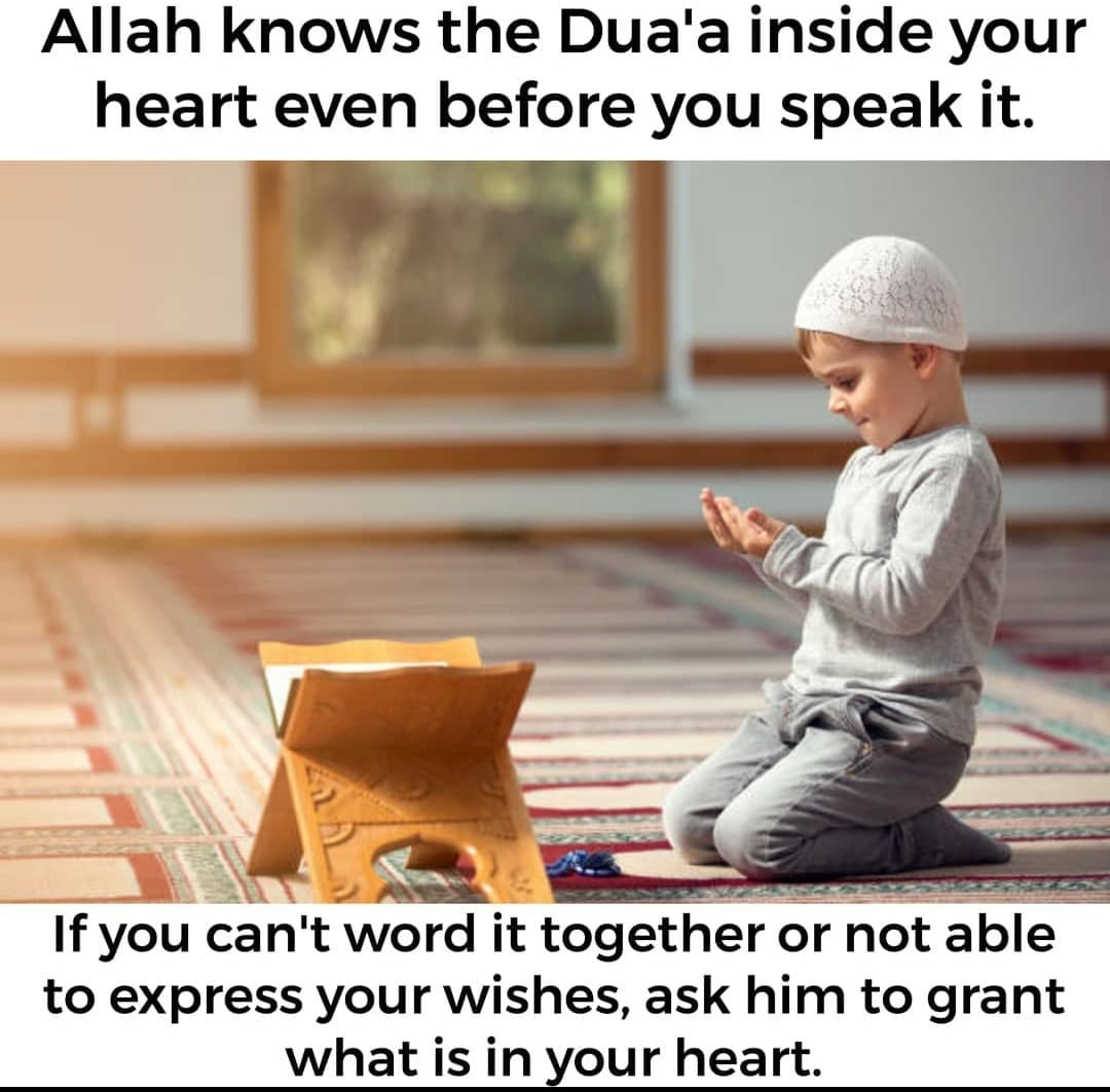 Islamic Audio Library