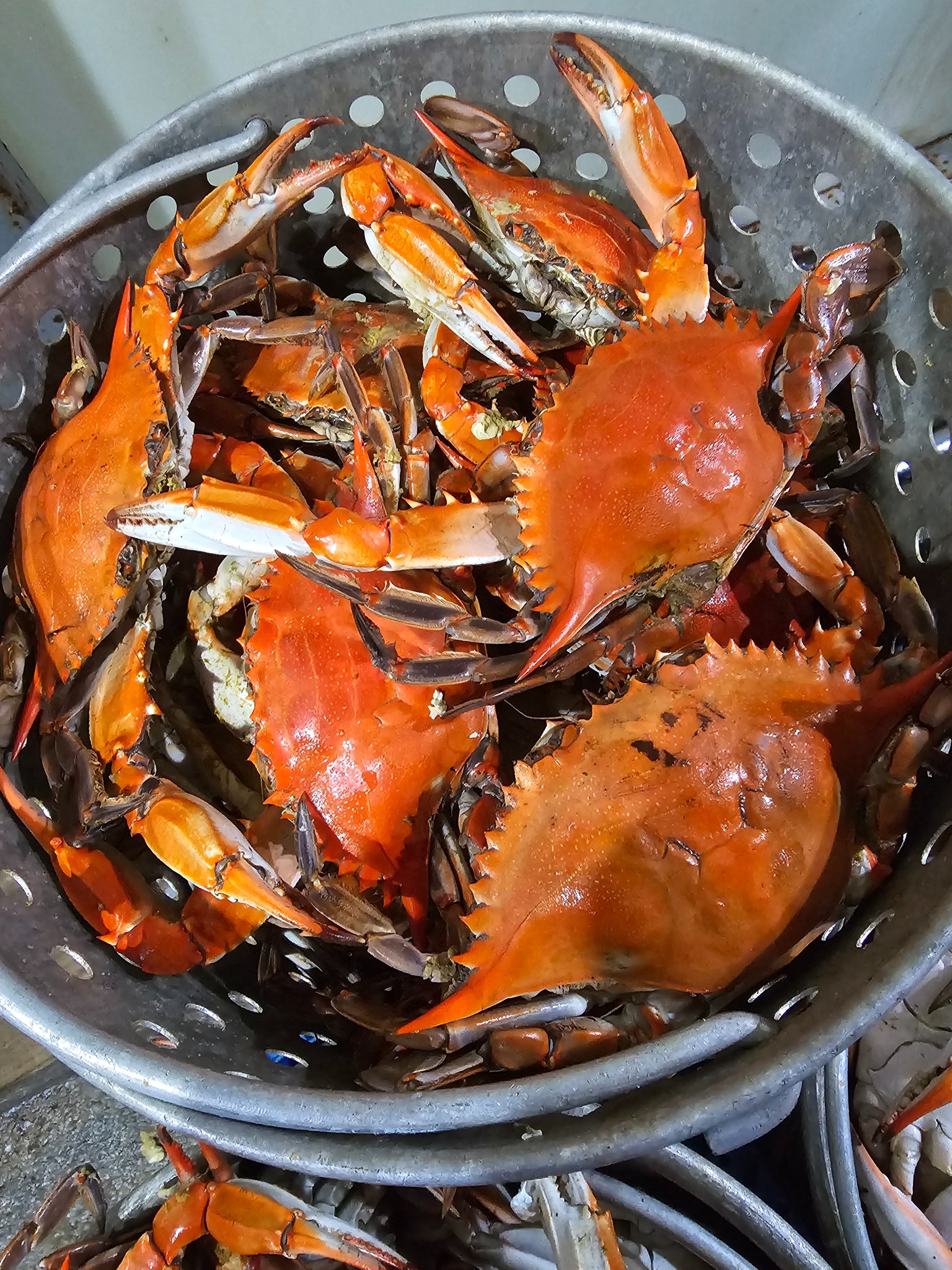 🦀 🦀 🦀 🦀 🦀 🦀 🦀 🦀 🦀 🦀 CRABS... - Kool Ice and Seafood LLC | Facebook