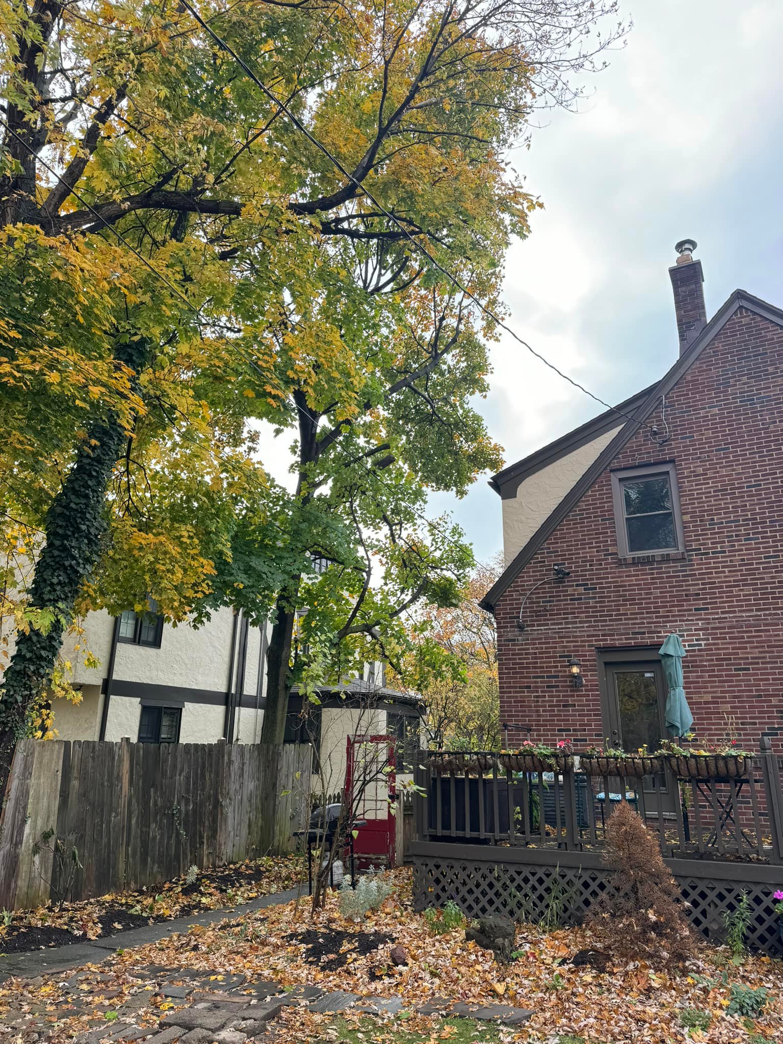 Al's Tree Service | Tonawanda NY