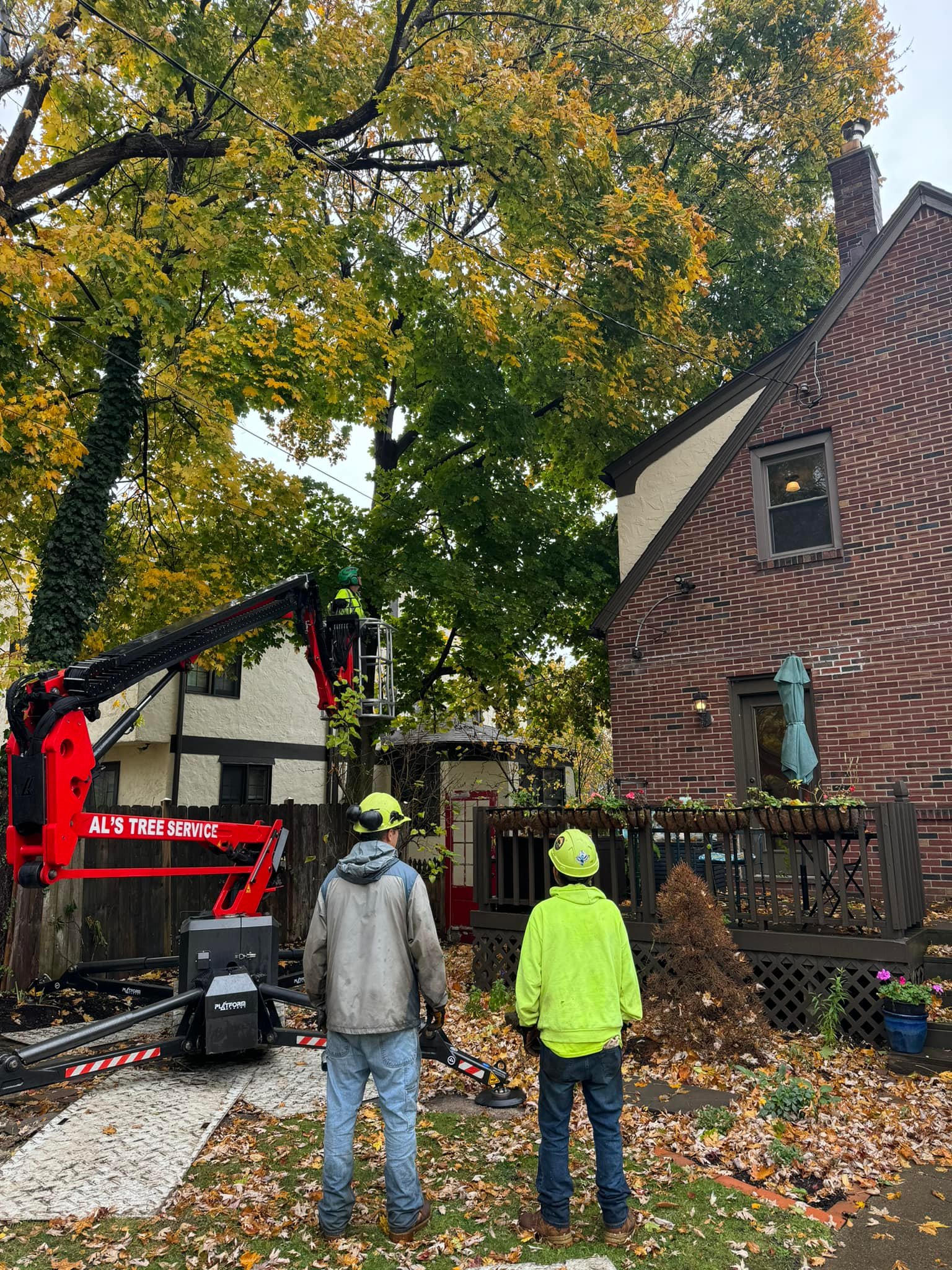 Al's Tree Service | Tonawanda NY