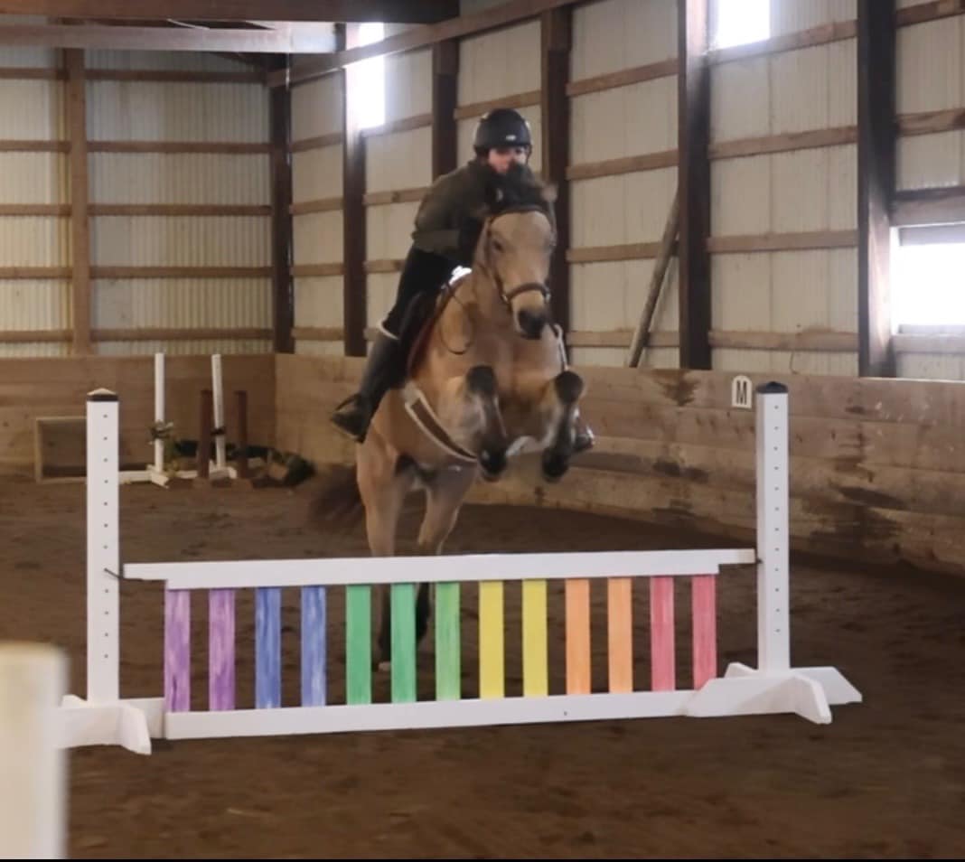 Kickapoo Ponies Texas - Caramel Macchiato is officially leased and off ...