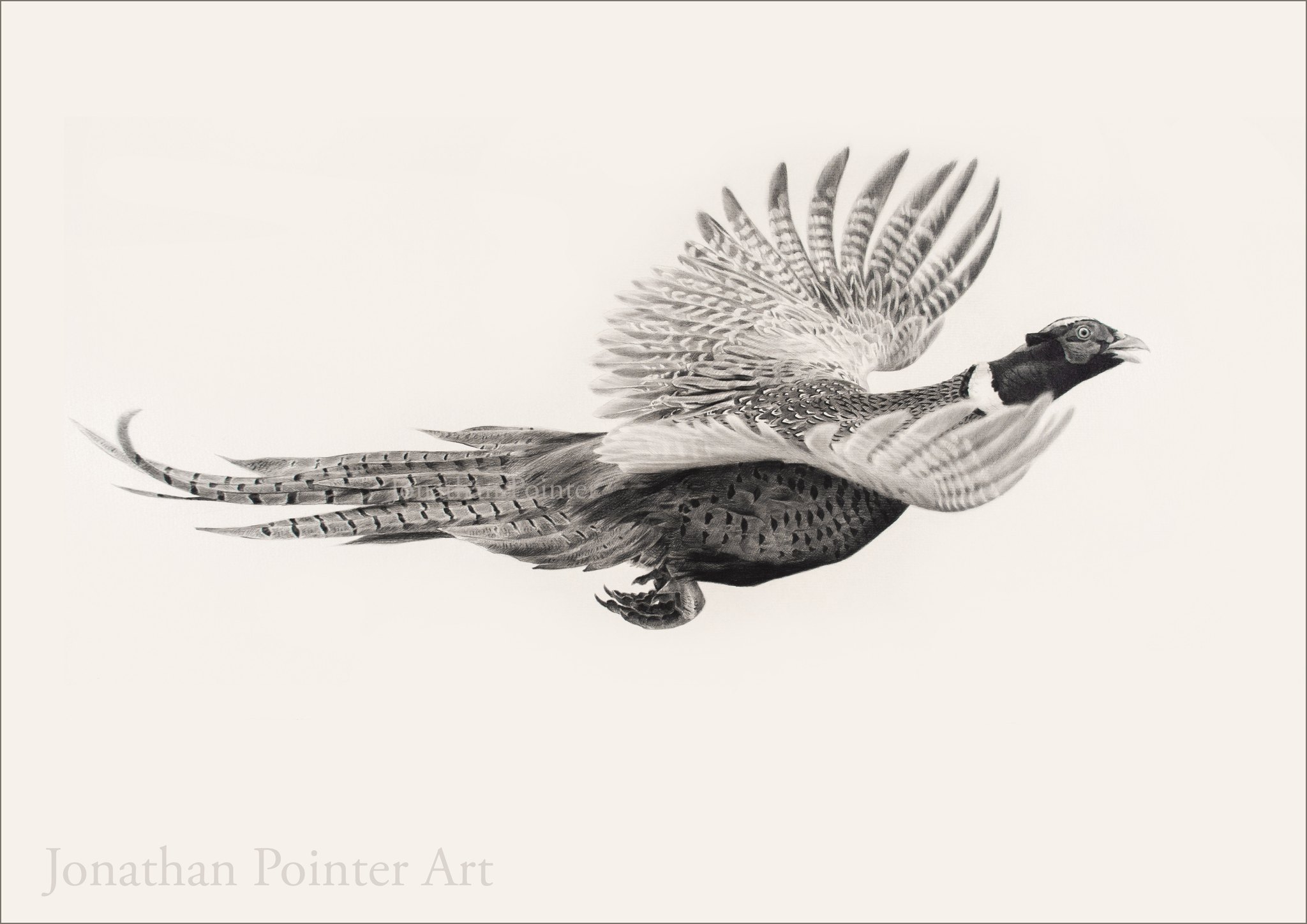 Jonathan Pointer Art
