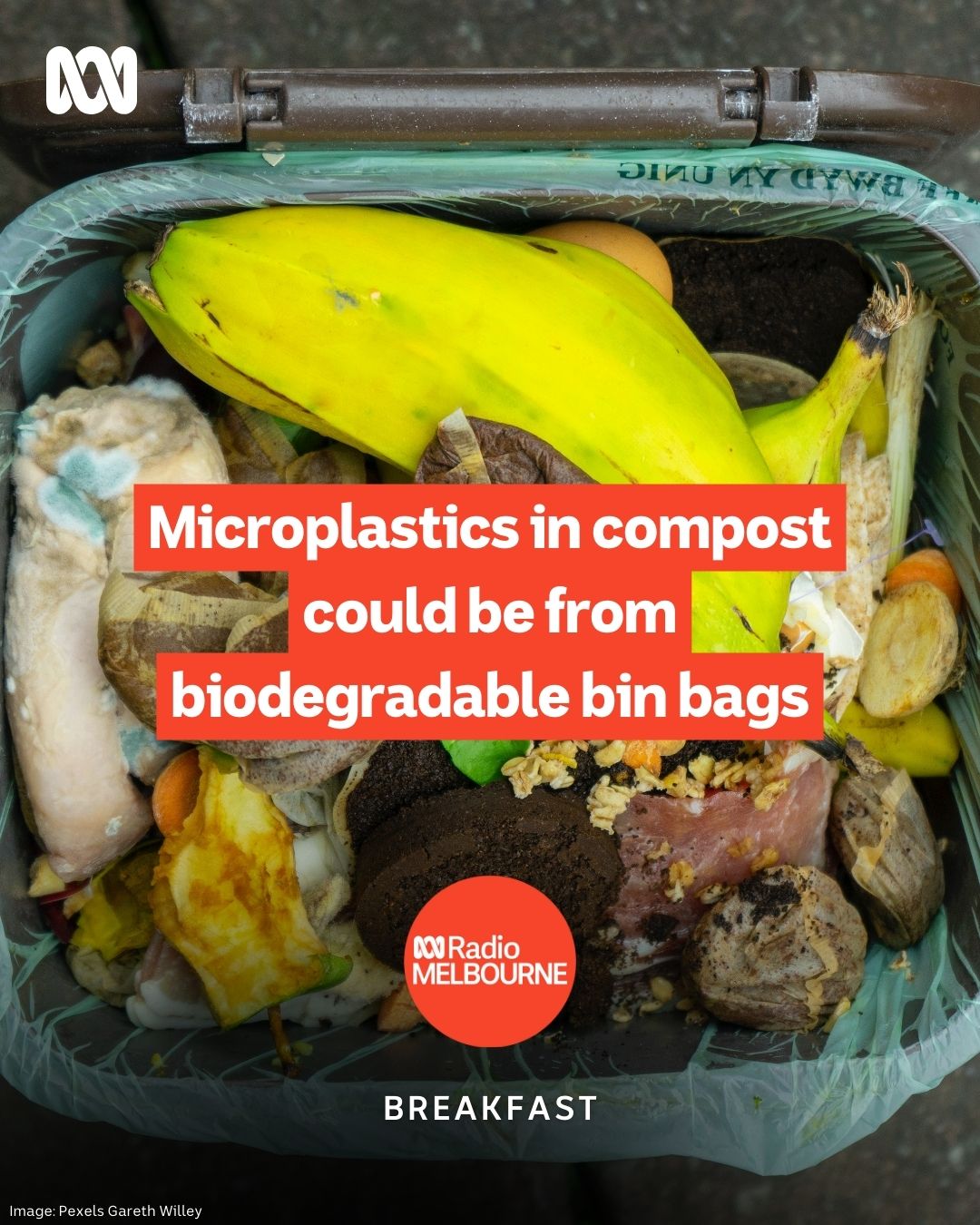 ABC - When it comes to green waste there is confusion about how to ...