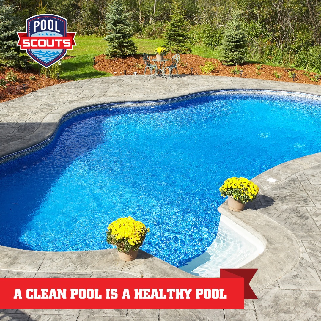 Pool Scouts | Raleigh NC