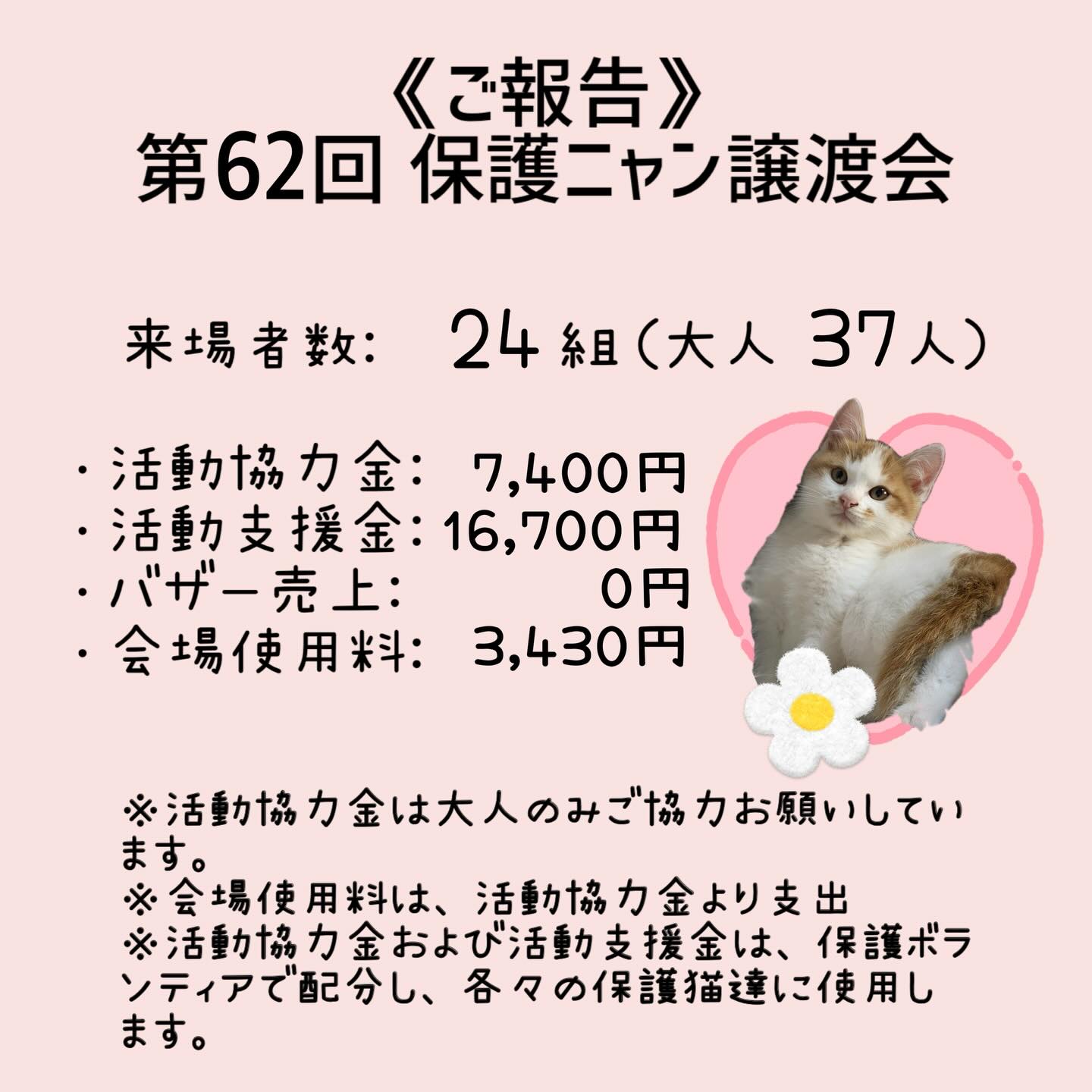 いるまん保護動物シェルター - いるまん保護動物シェルター added a 