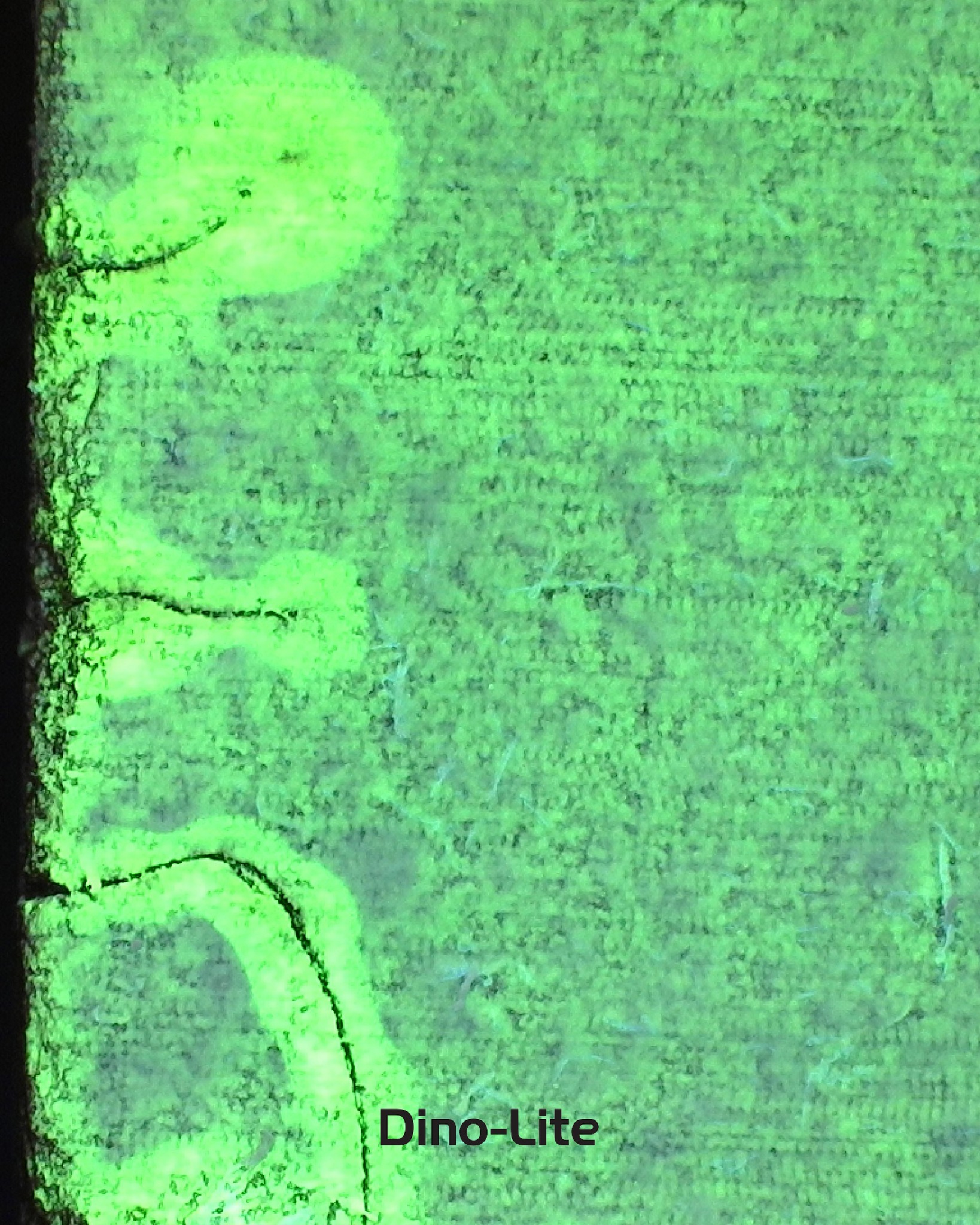 Microscope.id - Microscope.id added a new photo.