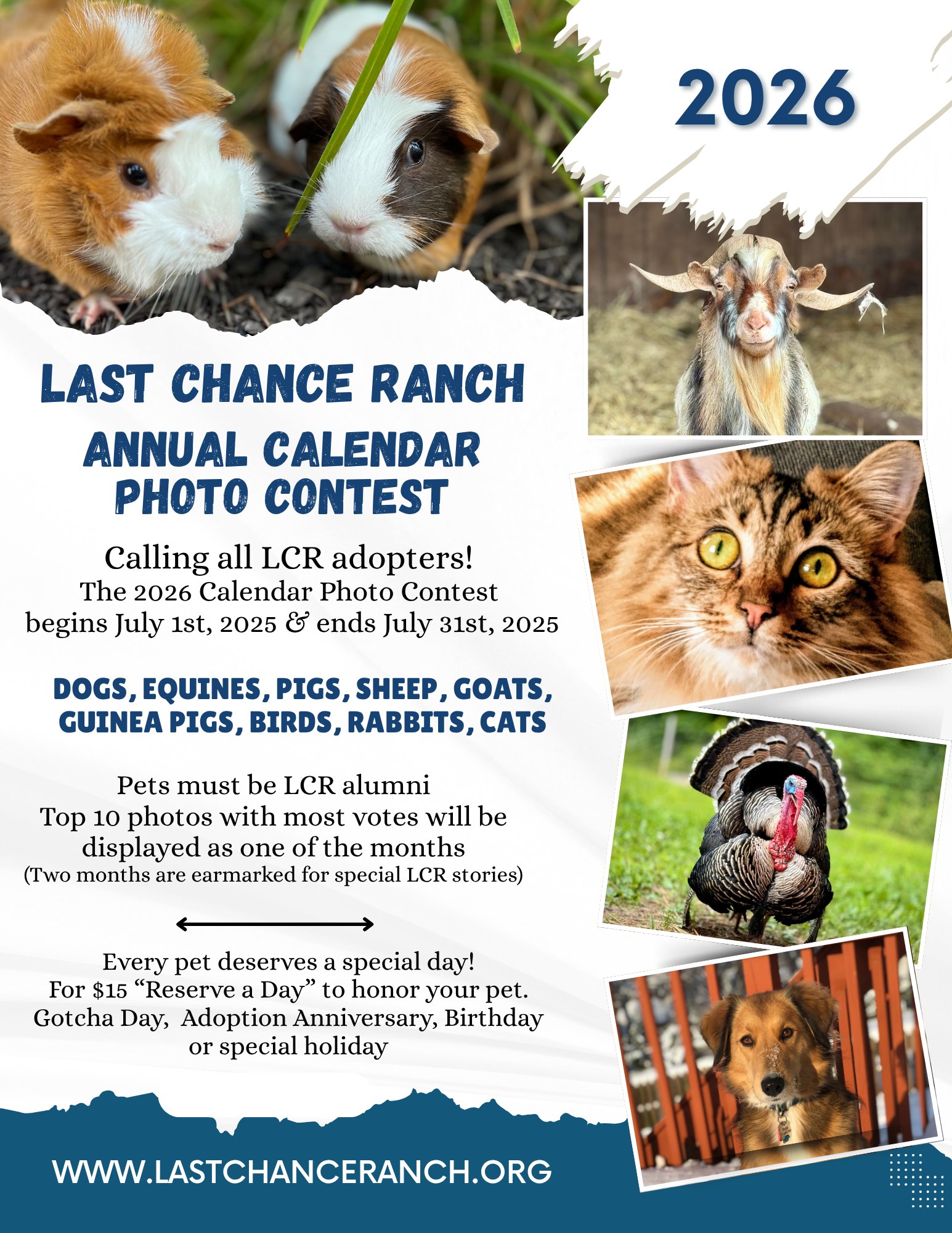 Last Chance Ranch | Quakertown PA