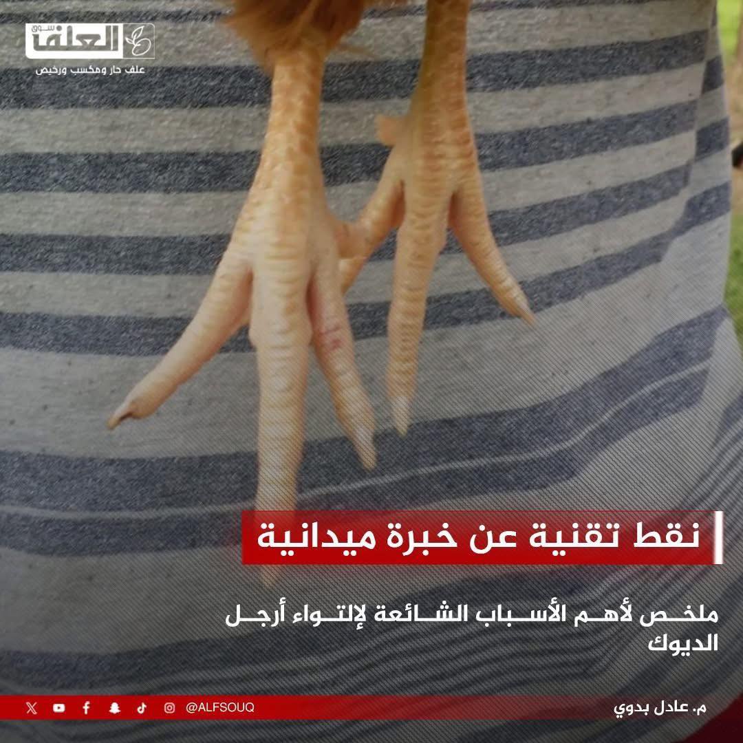 سوق - نقط تقنية عن خبرة ميدانية م. عادل بدوي استشاري إنتاج داجني ملخص ...