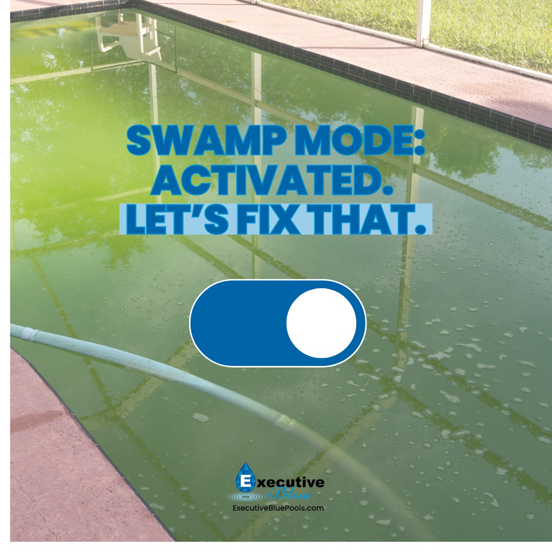 Executive - If your pool is looking more shamrock than sparkling… 🍀😳 ...