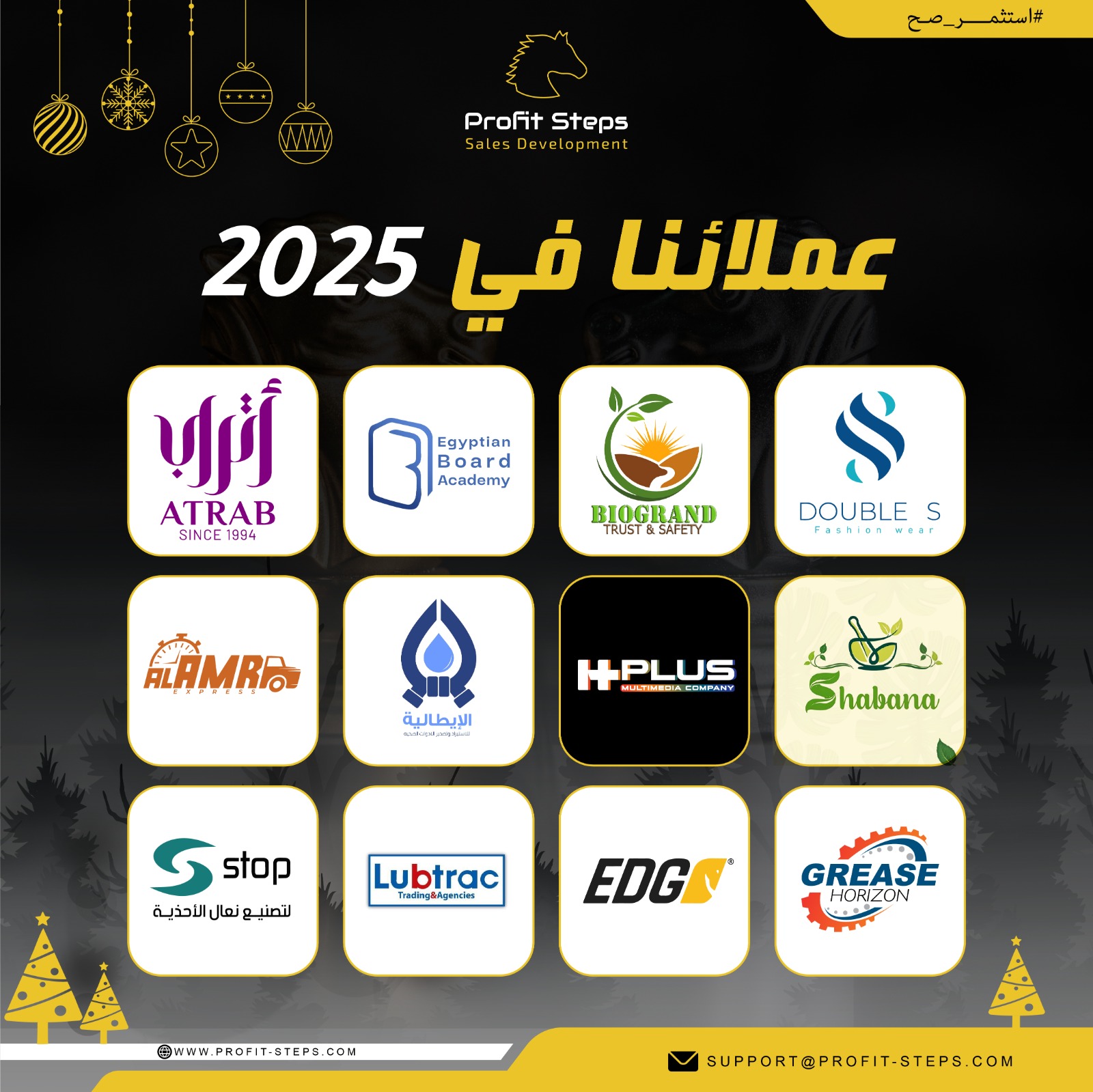 Profit Steps لتطوير المبيعات | Cairo