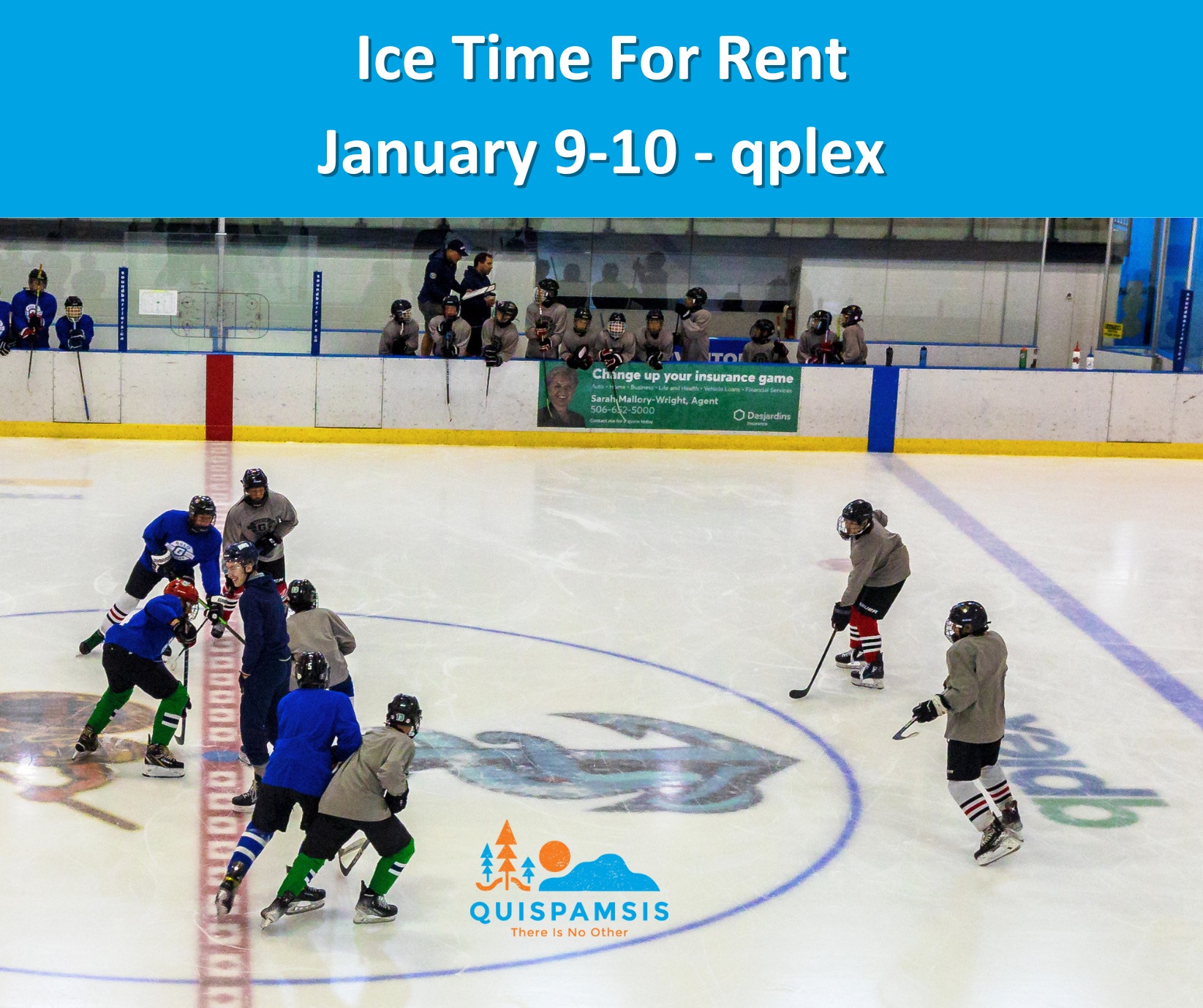 Quispamsis qplex