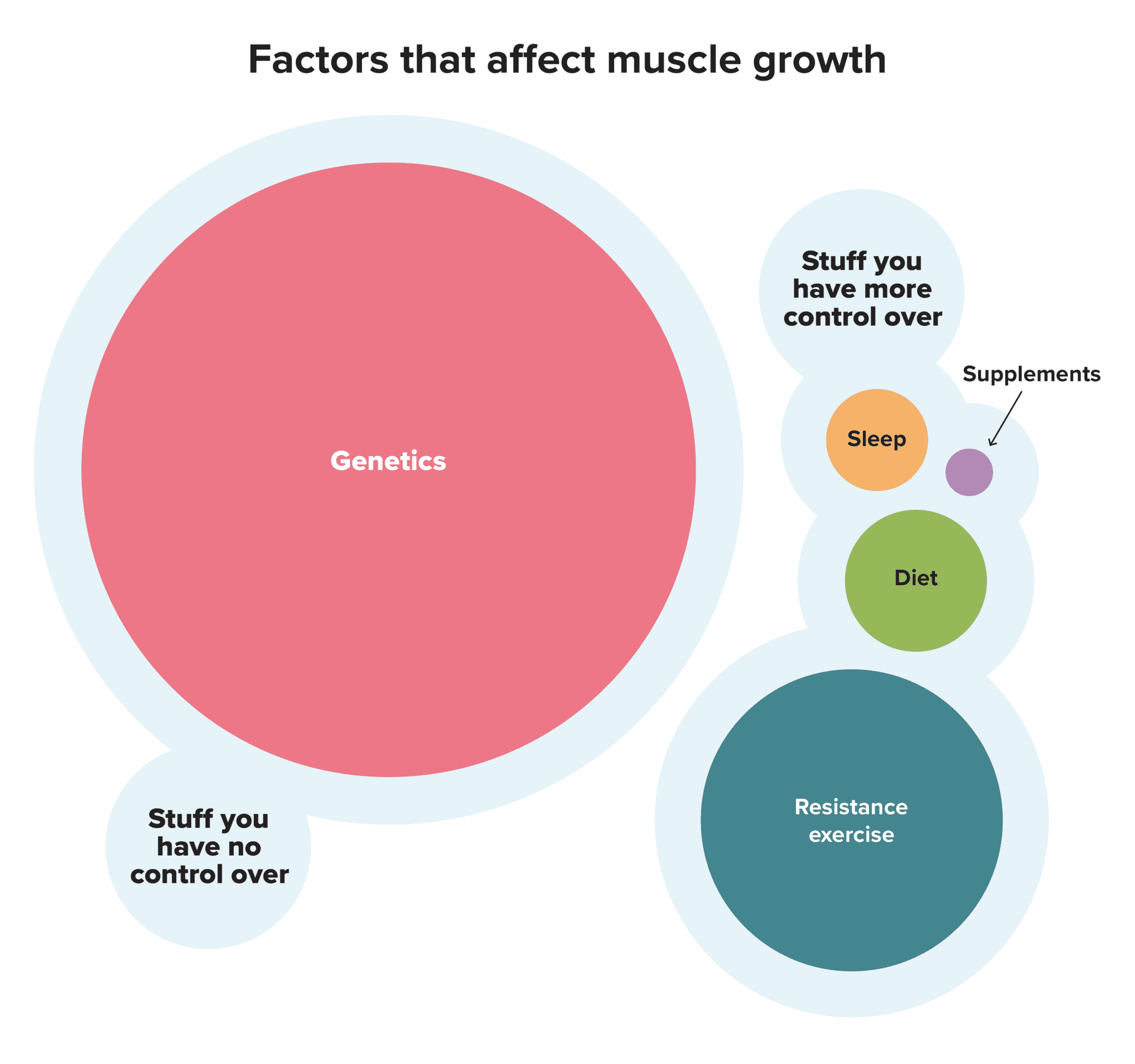 Precision - You’ll find muscle-building “rules” all over the Internet ...