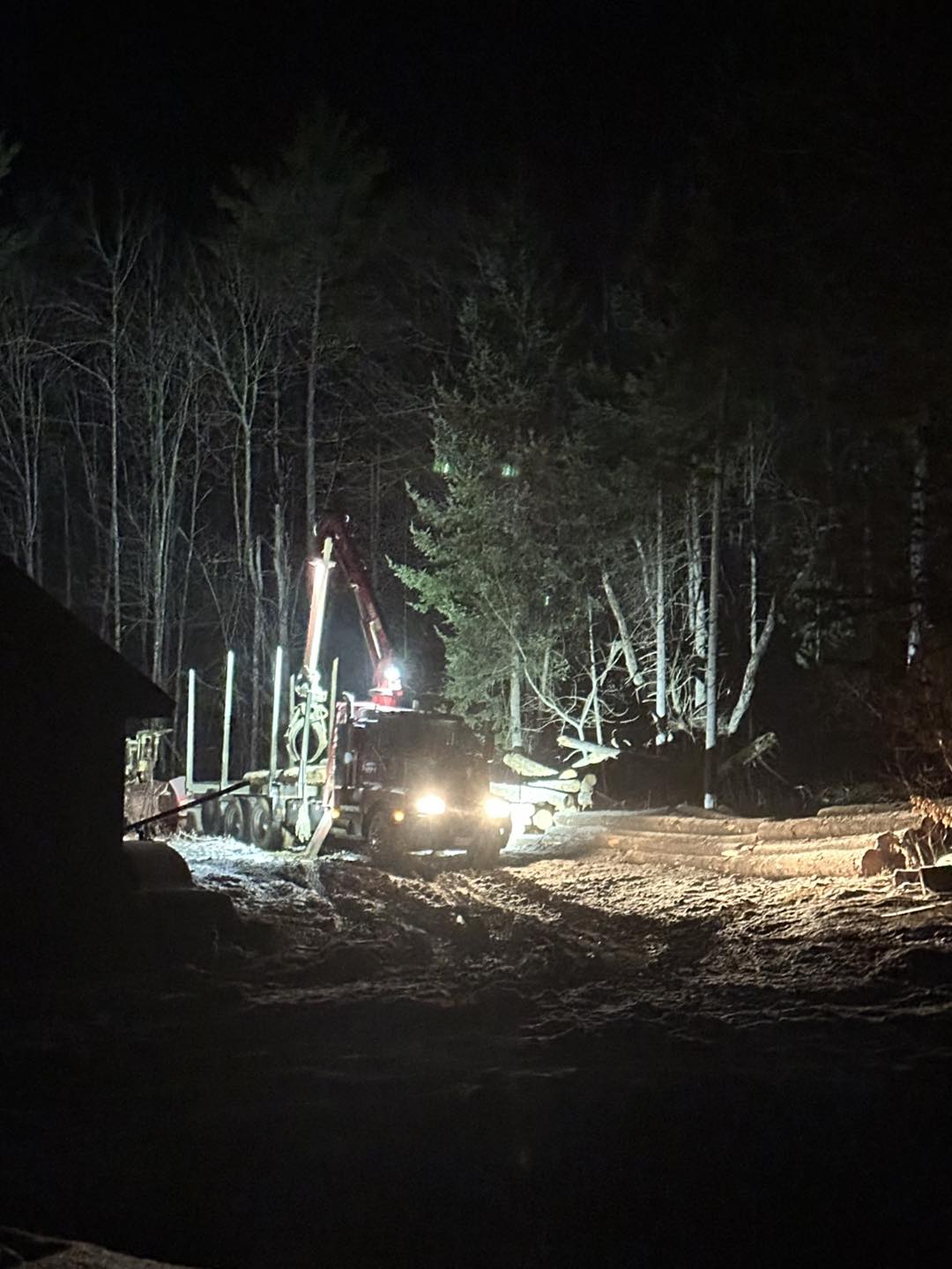 Rice Logging | Wellington ME