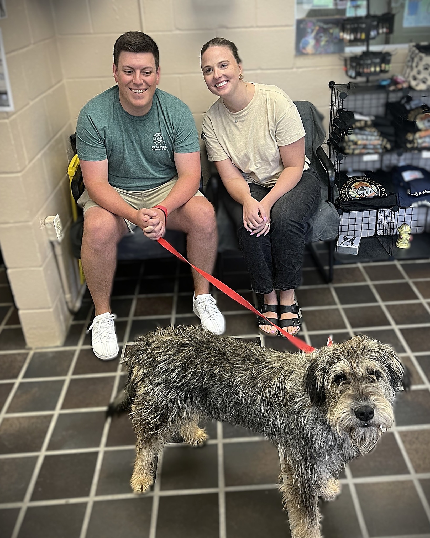 Humane Society of Cambria County | Johnstown PA