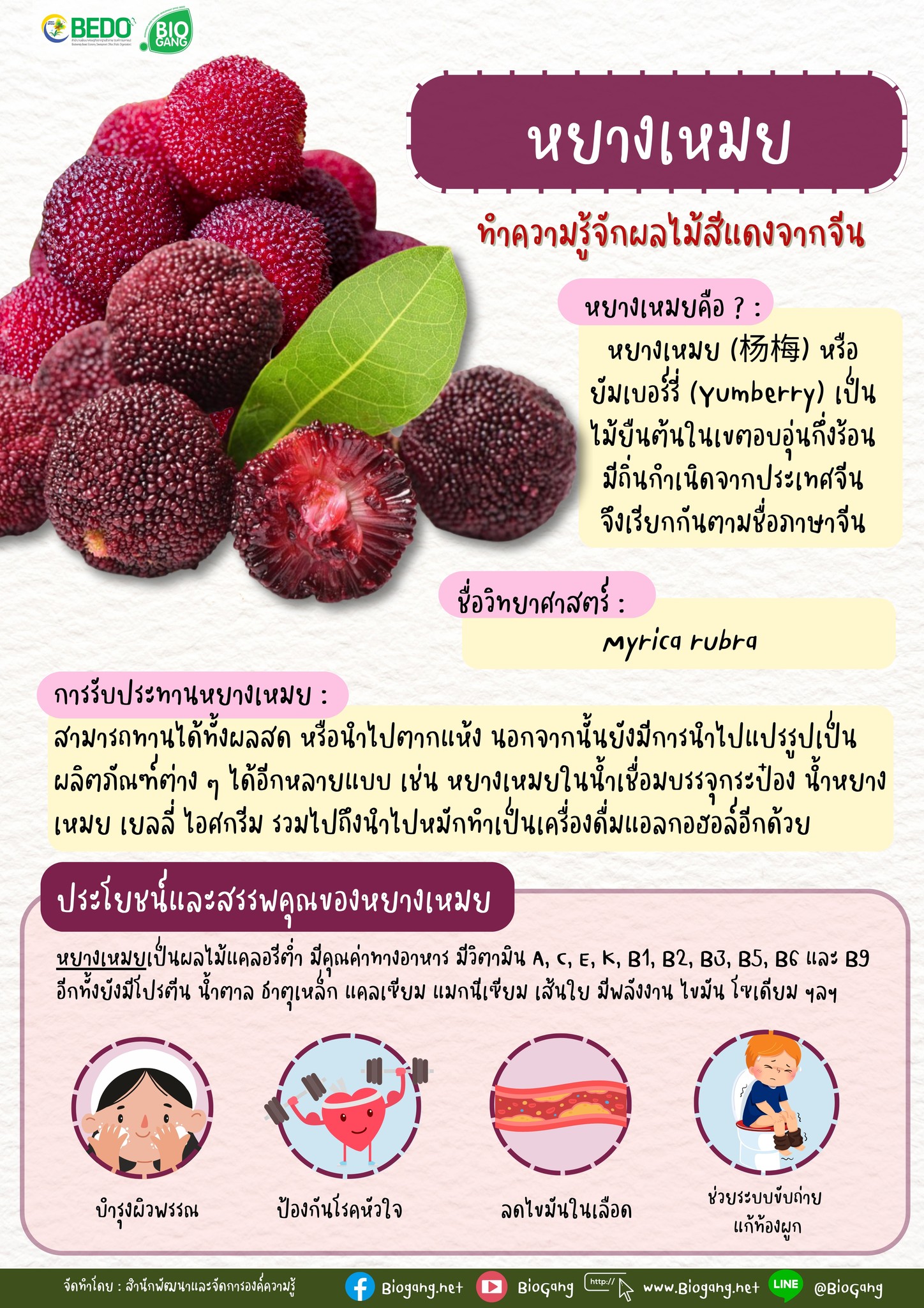 BioGang.Net - 