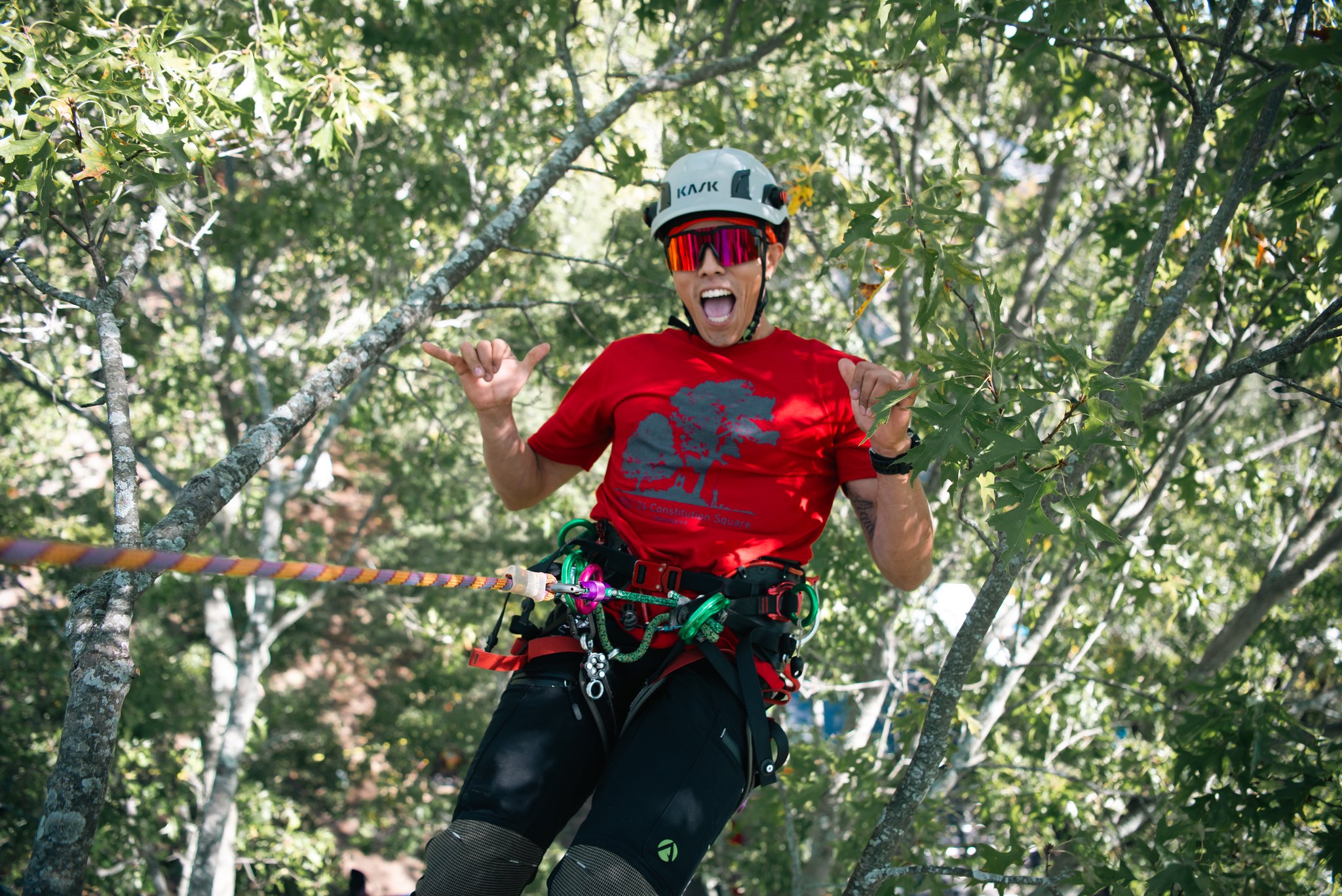 Kentucky Tree Climbing Championship