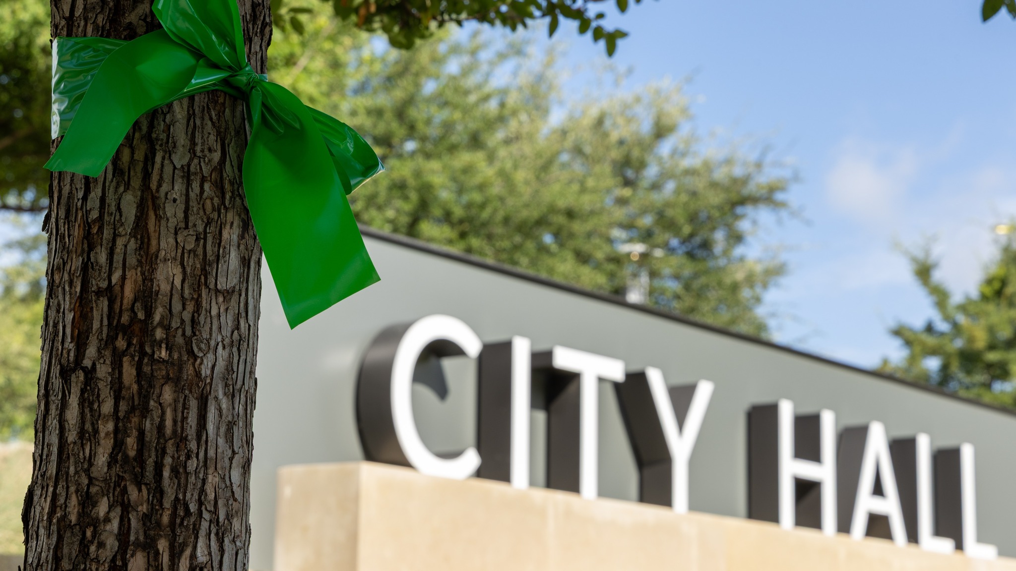 Dallas Texas Green Ribbons Wrapped Around Trees