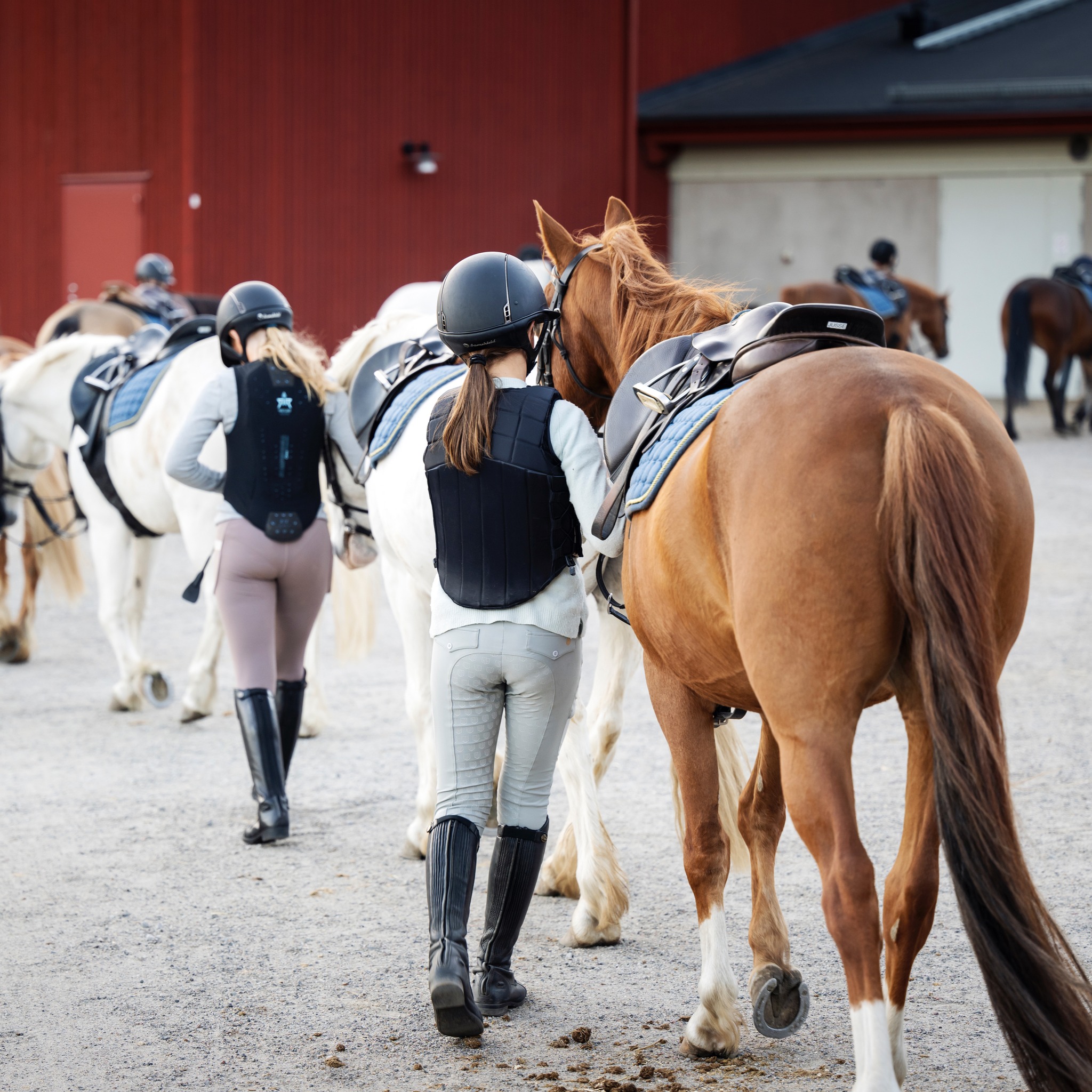 upplands-bro-ryttarf-rening-upplands-bro-ryttarf-rening