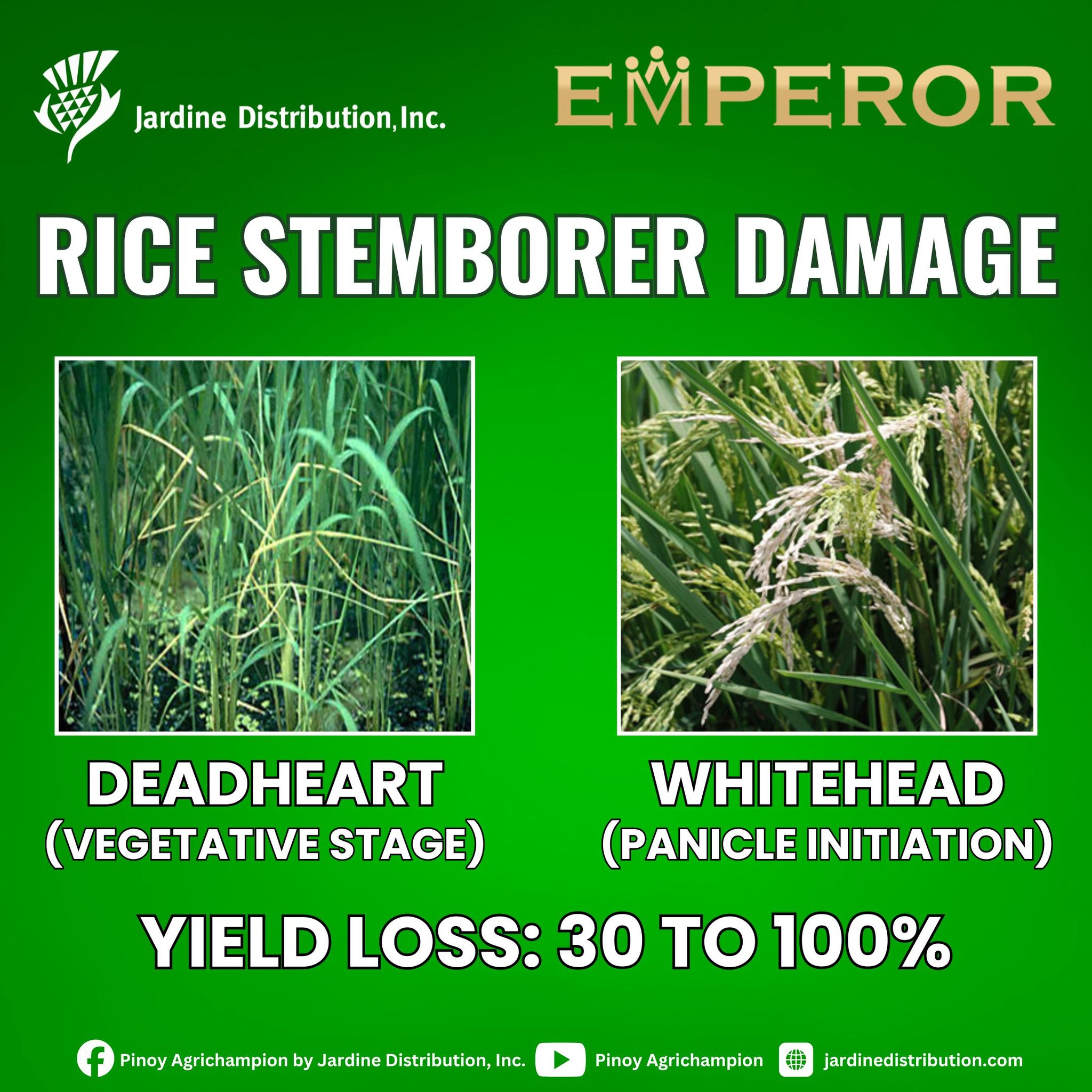 Pinoy Agrichampion by Jardine Distribution, Inc.