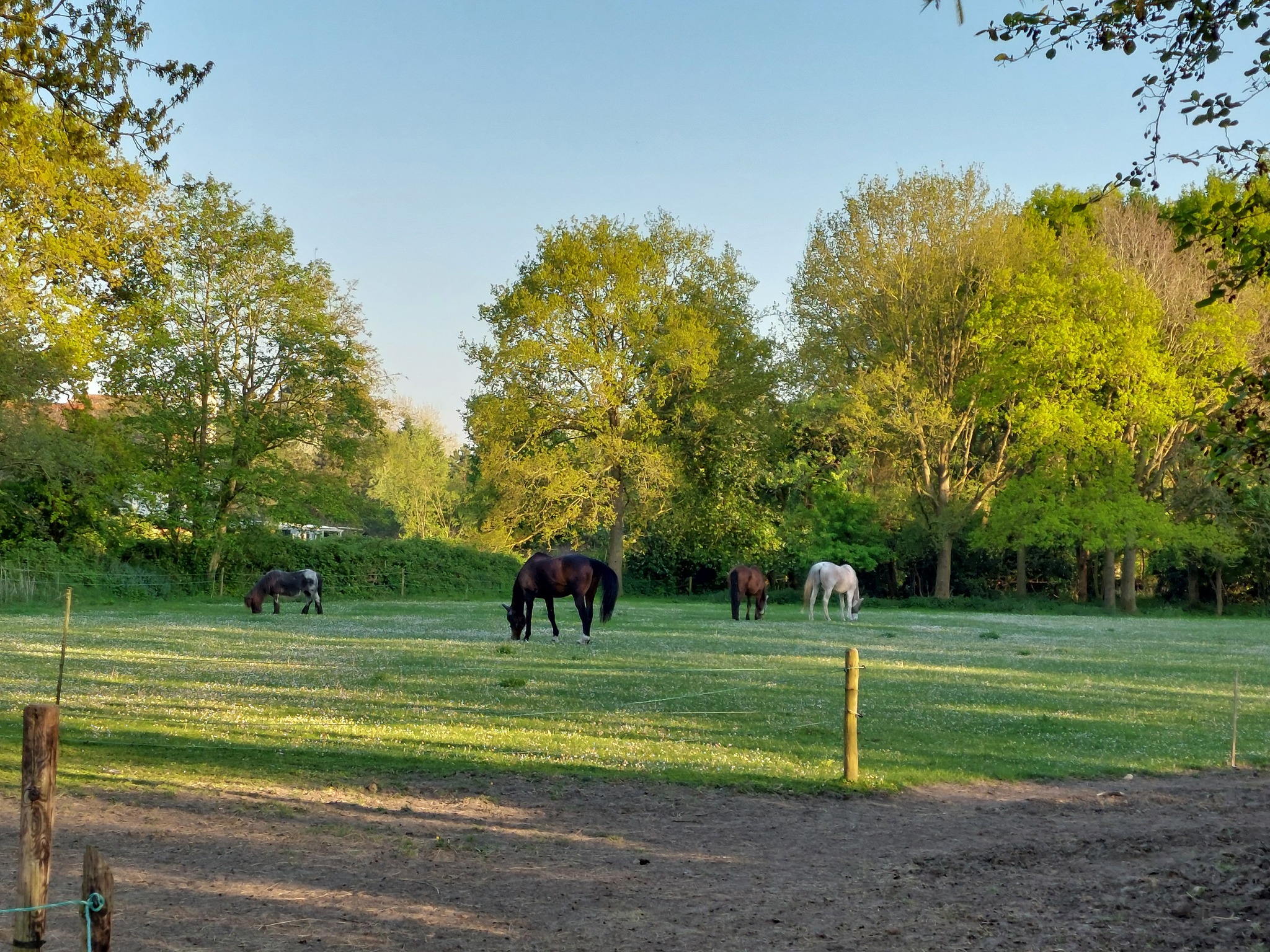 Manege Grol Renesse added a new photo. - Manege Grol Renesse