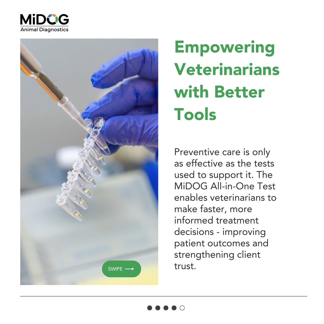 miDOGtest | Tustin CA