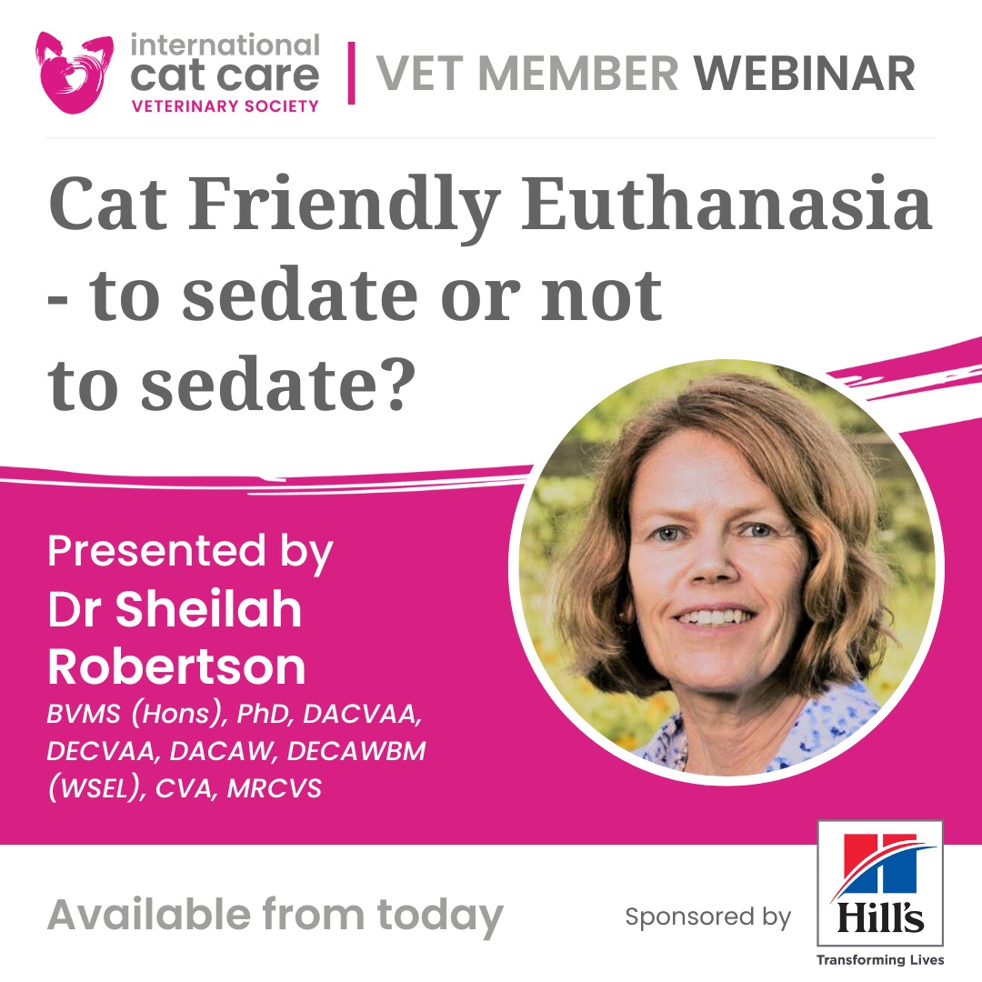 🩺 Vet members!... - International Cat Care Veterinary Society | Facebook