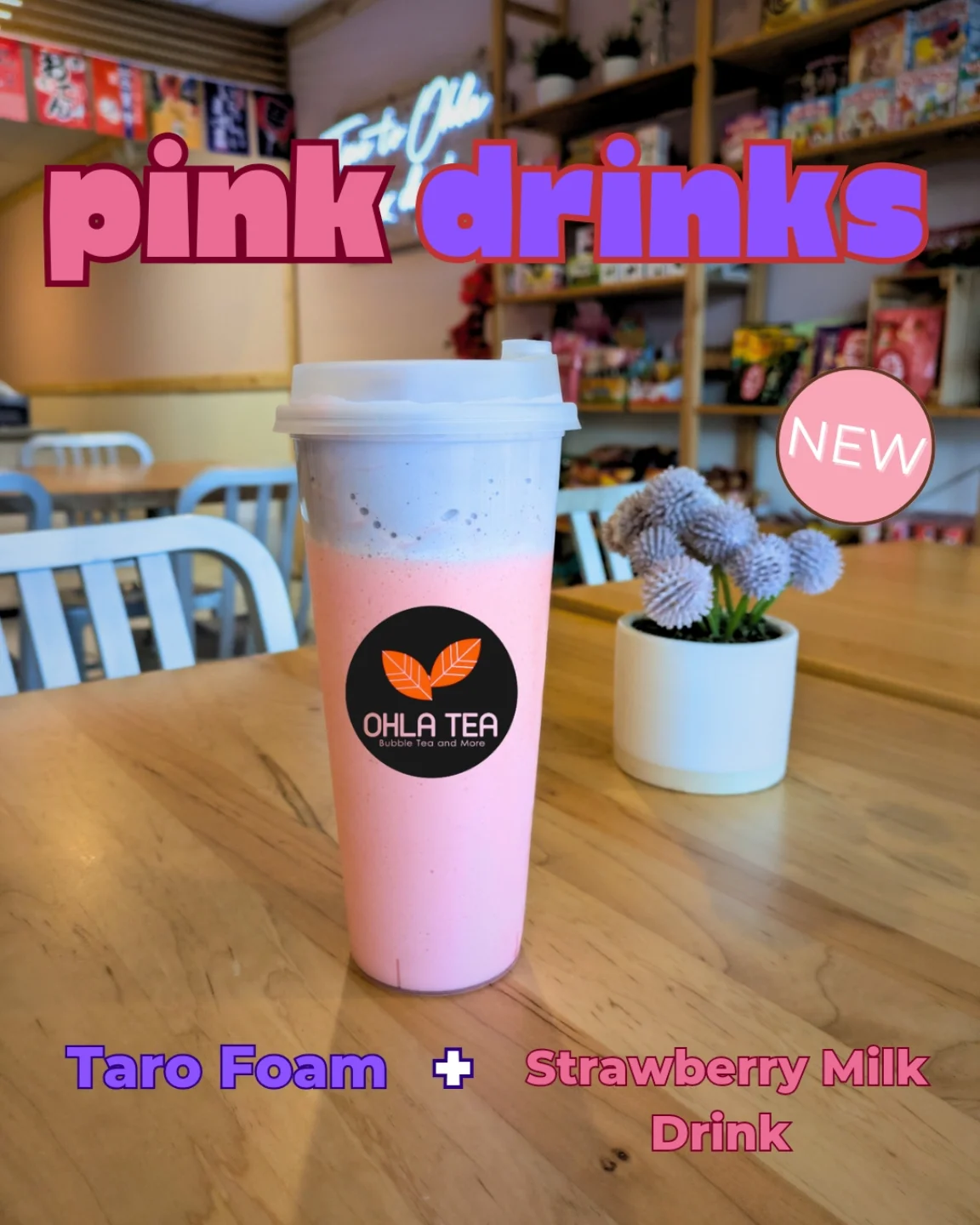 OhLa Tea | Miami FL