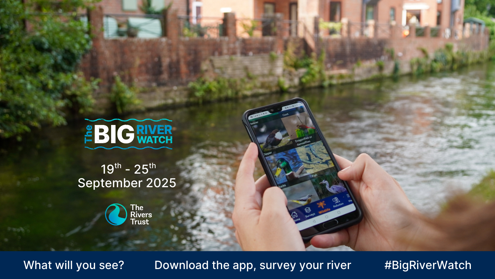 The Rivers Trust | Callington