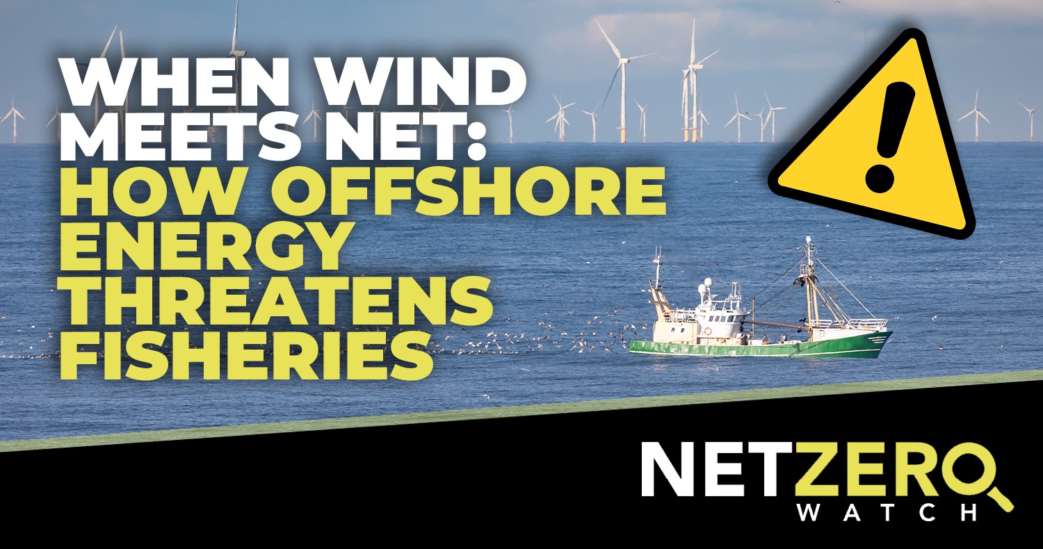 Net Zero Watch - “For fishermen, the growth of offshore... | Facebook