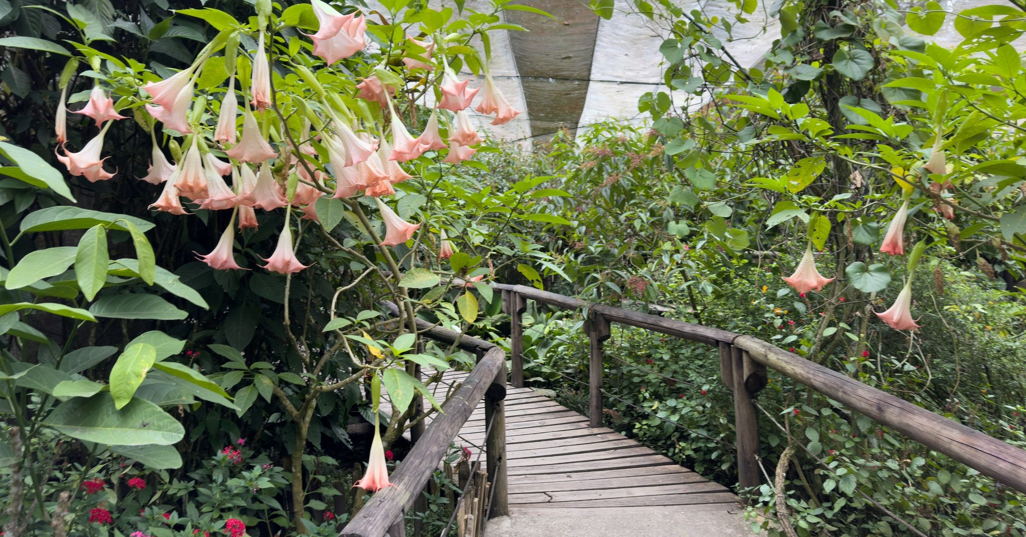 Jardín Botánico del Quindío | Calarcá