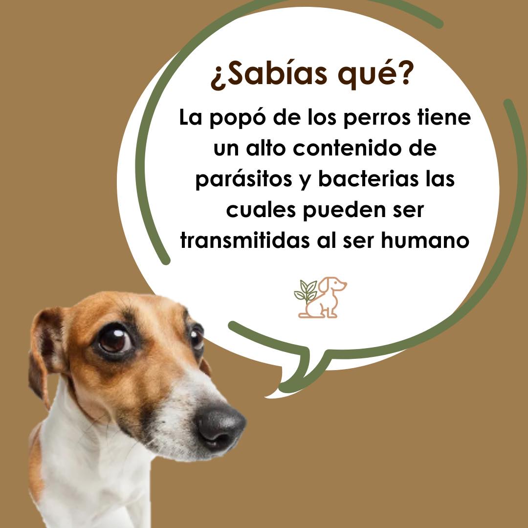 BYE - ¿y también sabías que el Bye Bye Poop es una forma de evitar que ...
