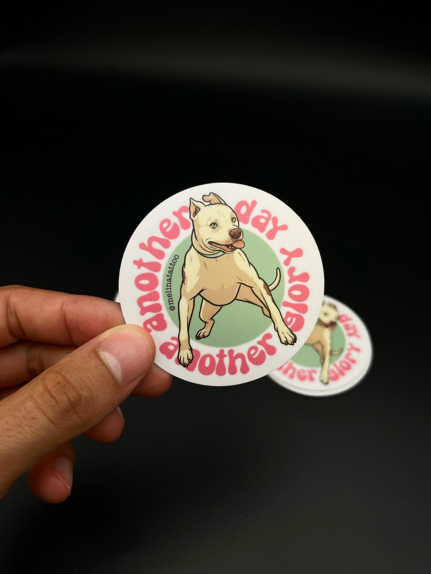 Stickeria Santista