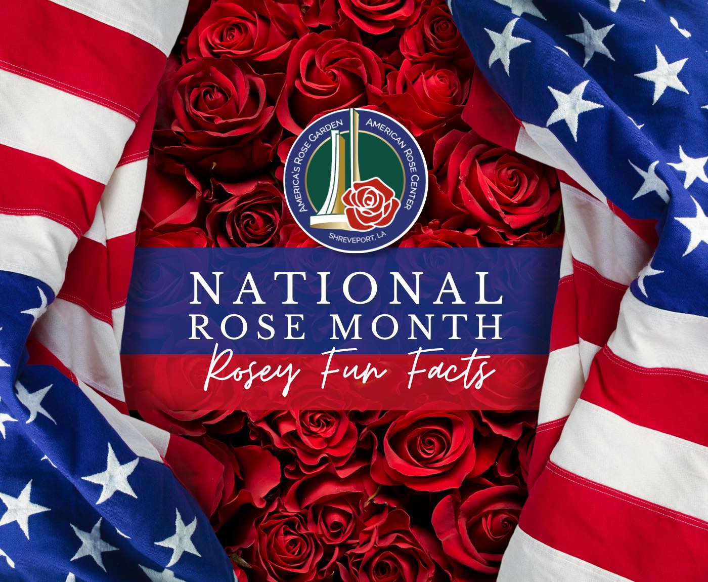 American - DID YOU KNOW? 🧐🧐🧐 The rose is the state flower in 5 states ...