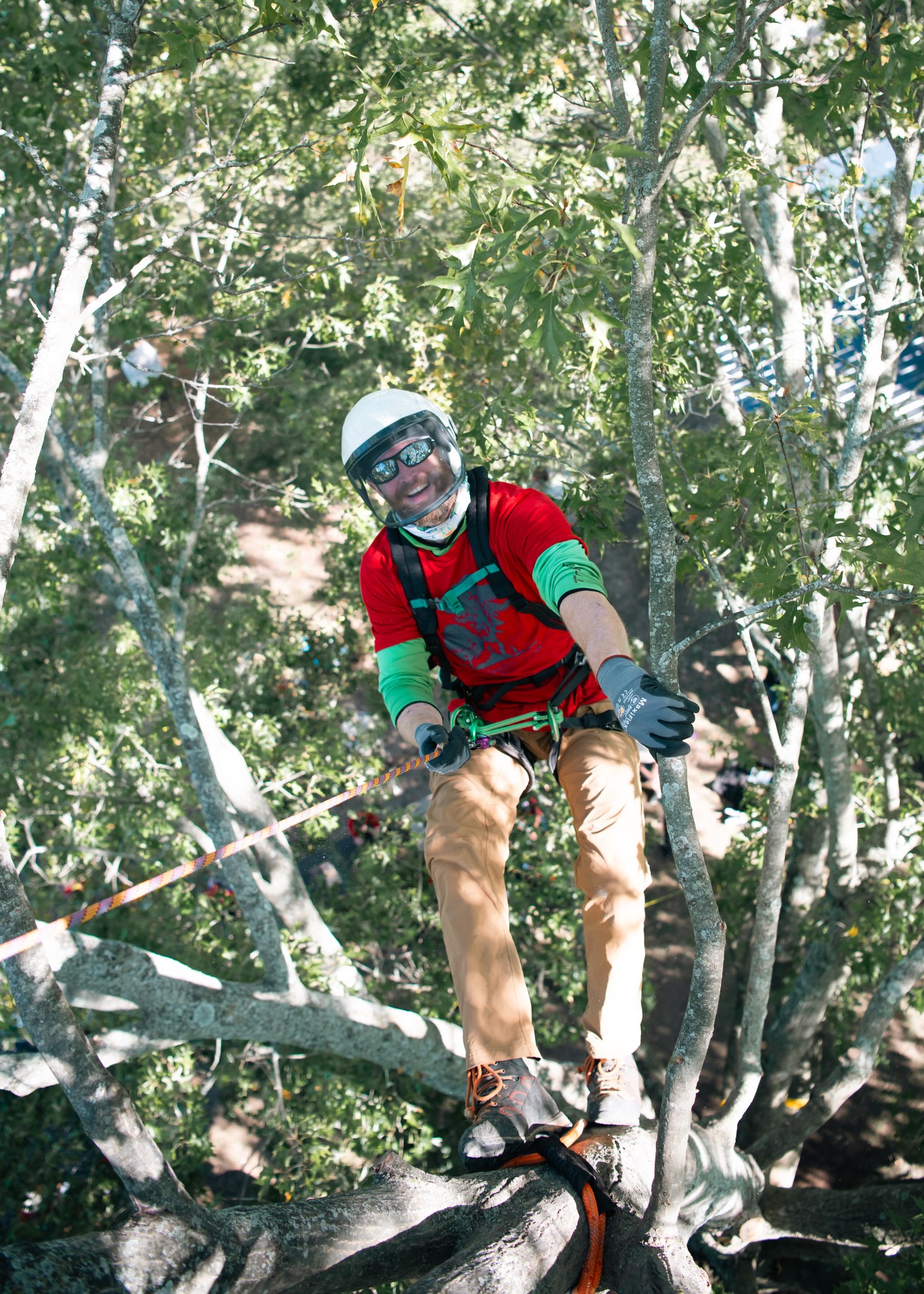 Kentucky Tree Climbing Championship