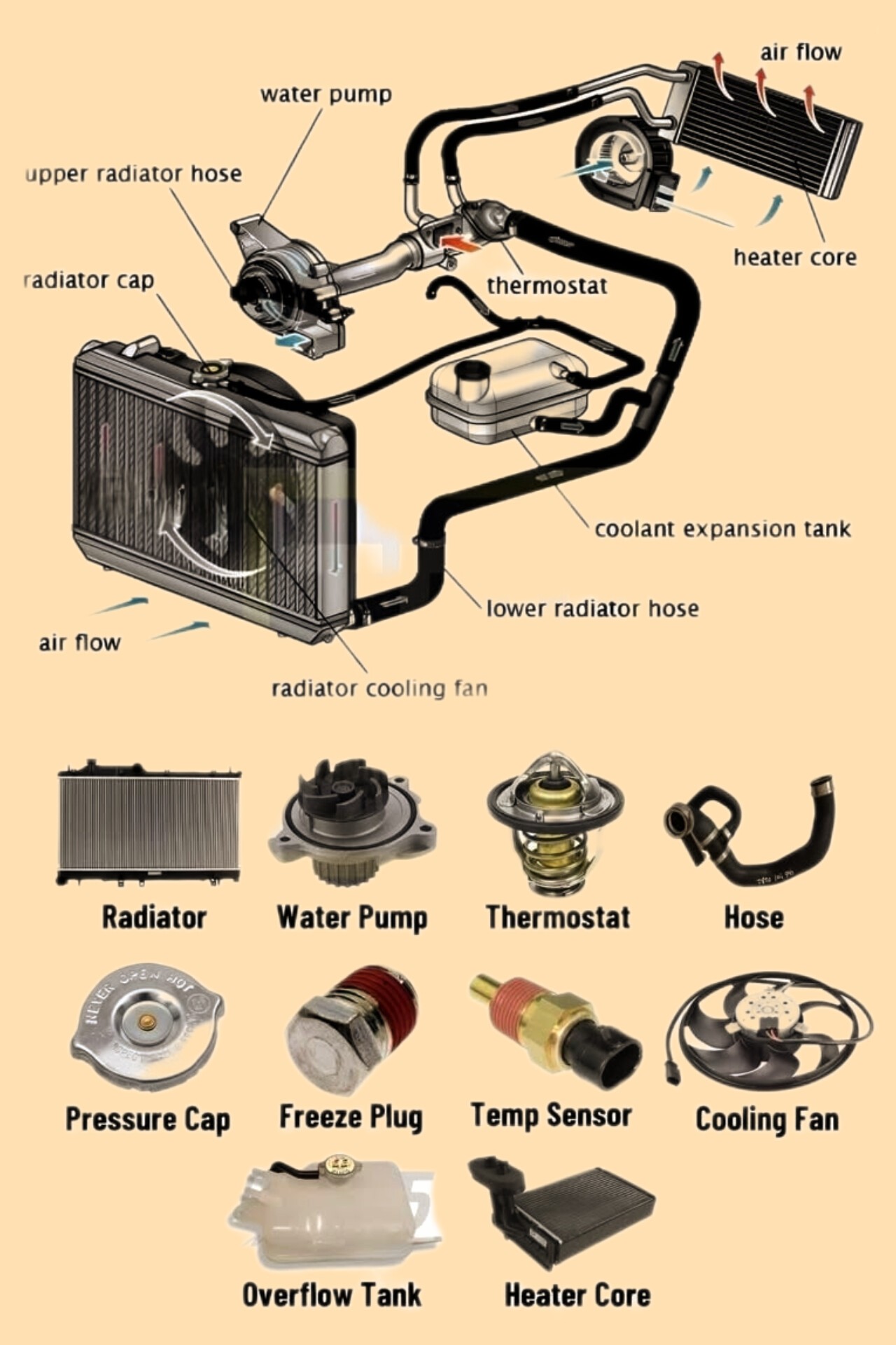 Automax - Engine cooling system and it's parts🙂🙃 | Facebook
