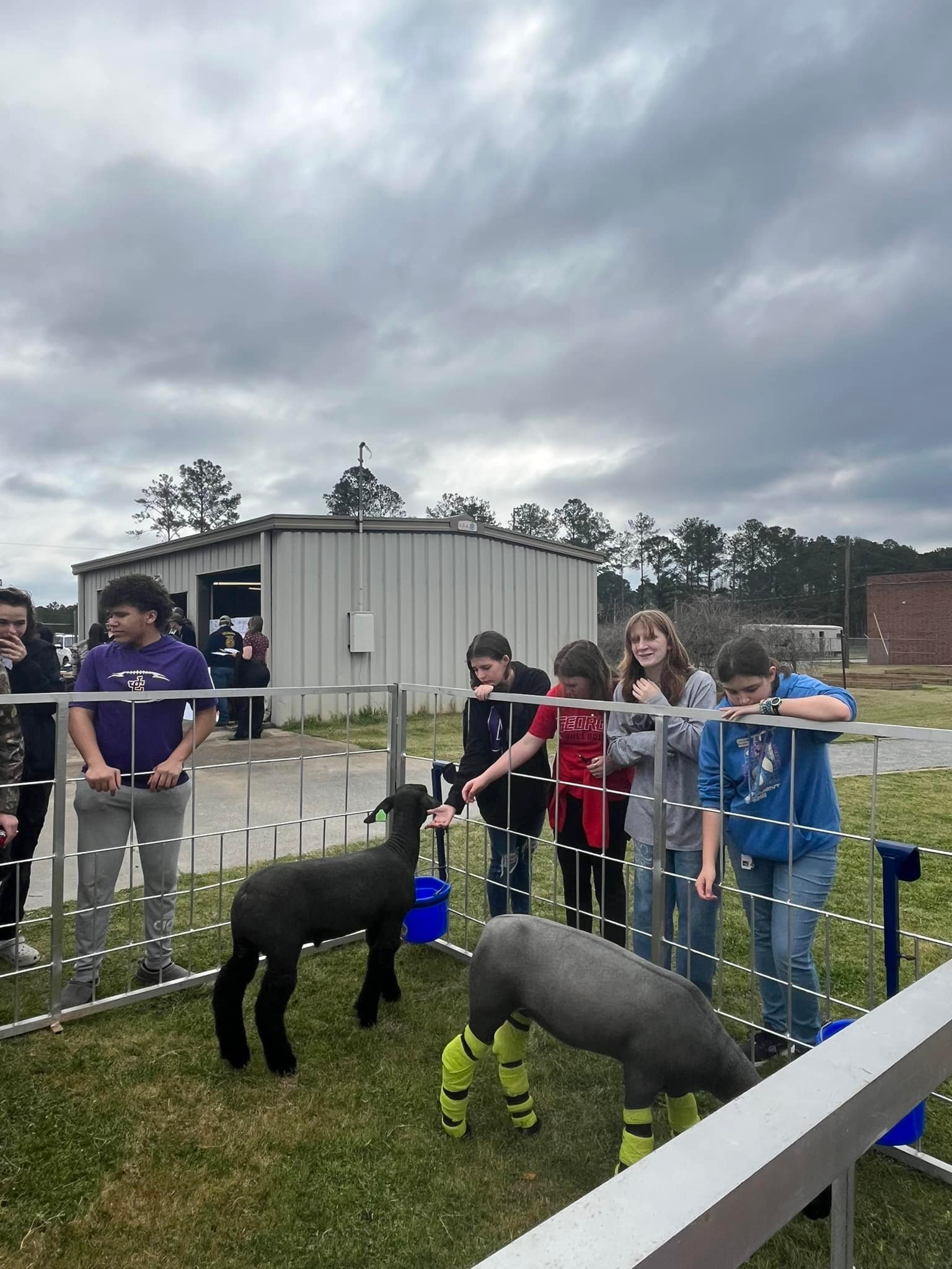 Clifton Ridge Middle School... - Clifton Ridge Middle School
