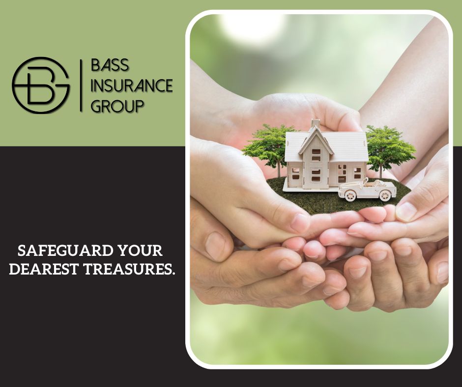 Bass Insurance Group | Willow Park TX