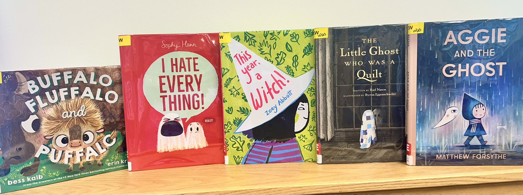 Look at all the new books hitting... - Ringtown Area Library | Facebook