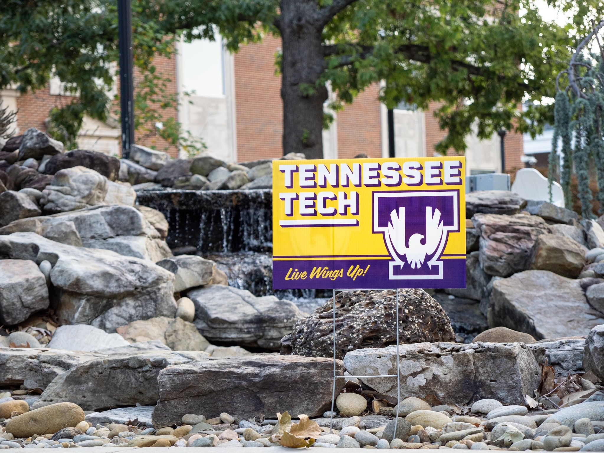 Where is Tennessee Tech University: Discover Its Exact Location Today