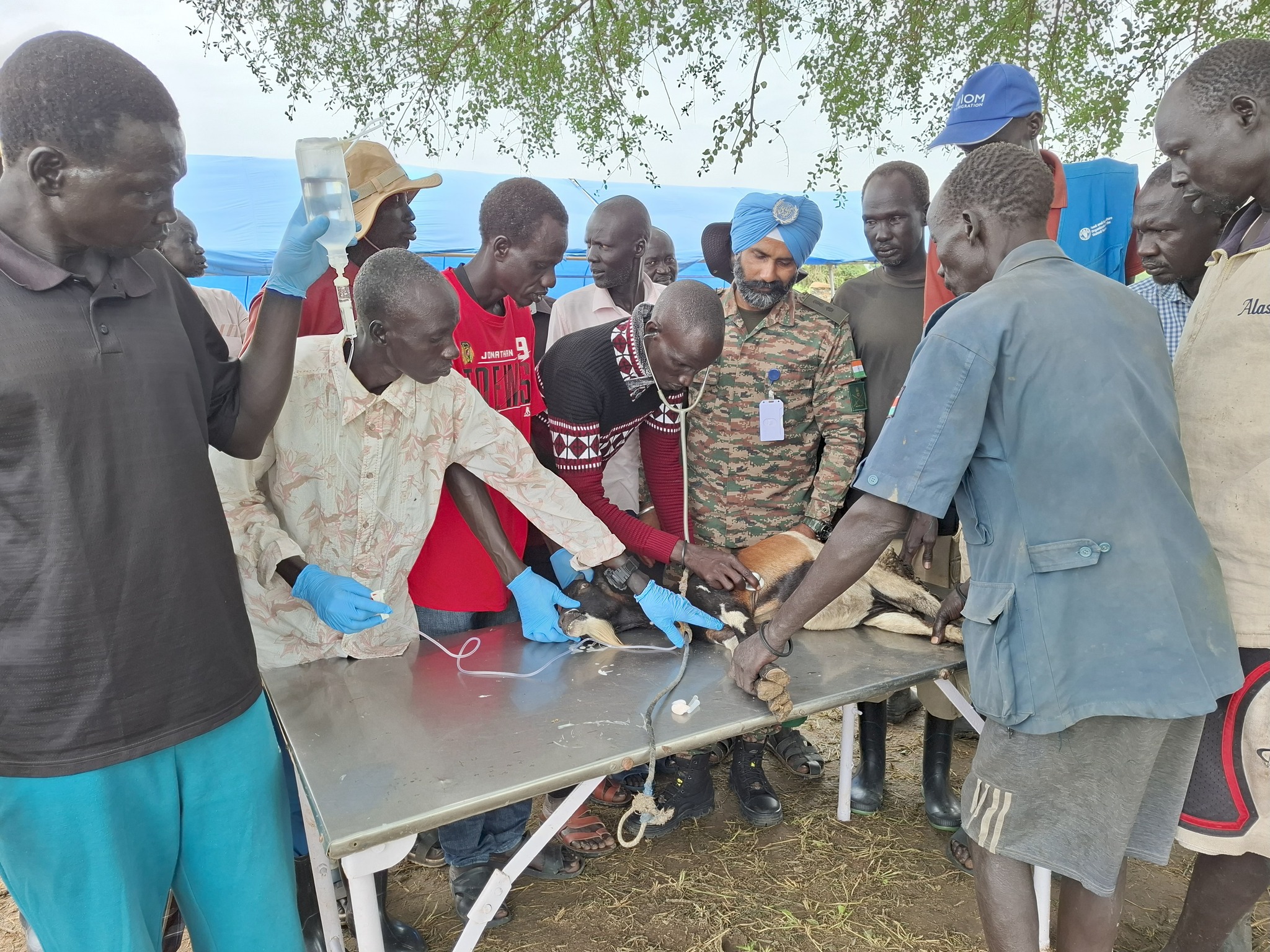 United Nations Mission in South Sudan (UNMISS)